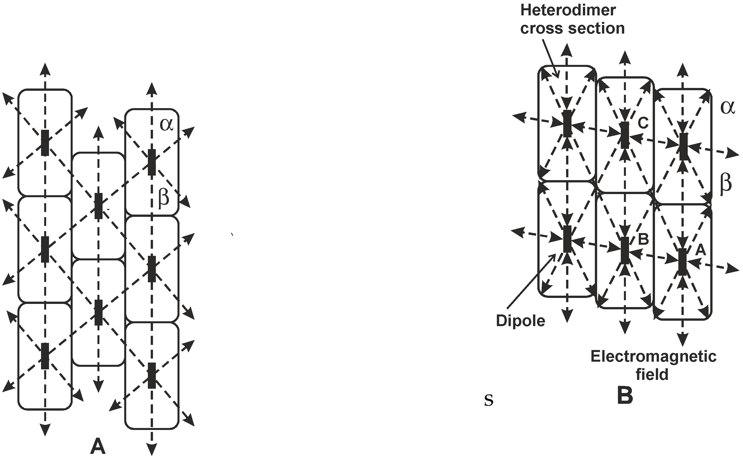 Ijms 22 08215 g002 550