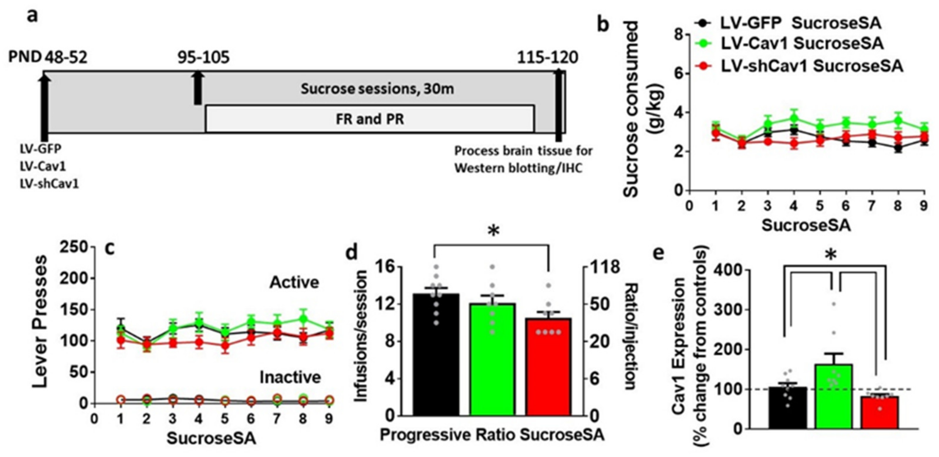 Ijms 22 08219 g003 Ijms 22 08219 g003