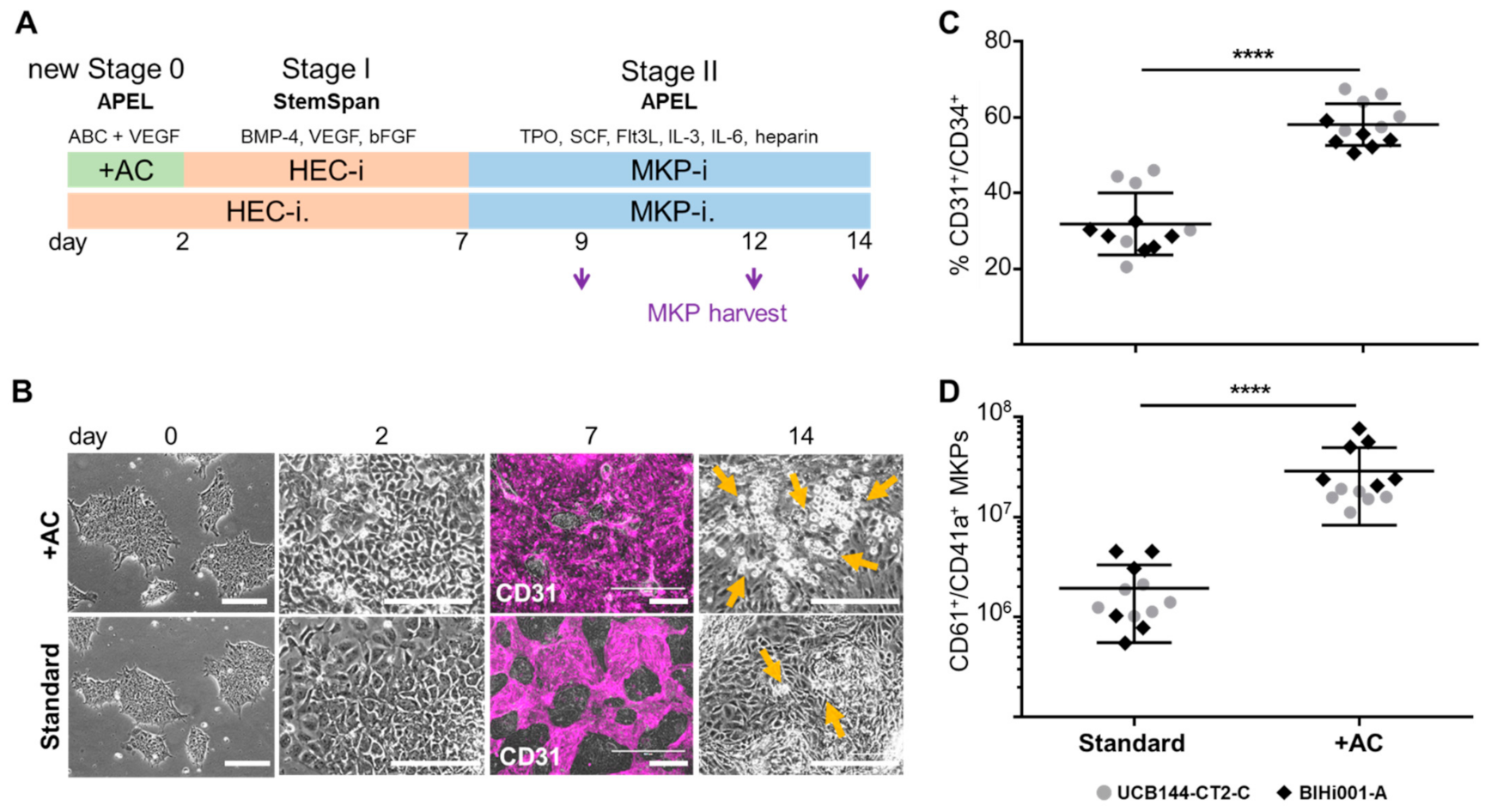Ijms 22 08224 g001 550