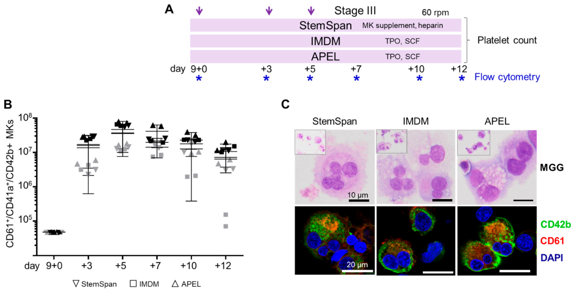 Ijms 22 08224 g002 550