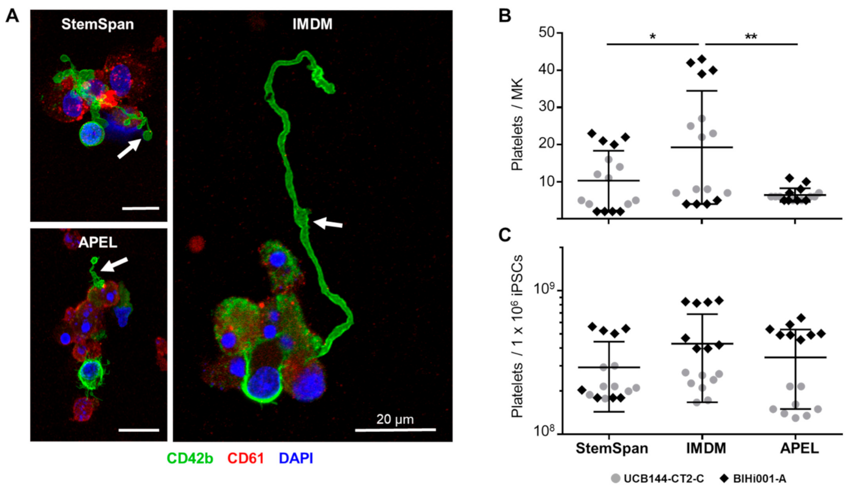 Ijms 22 08224 g003 550
