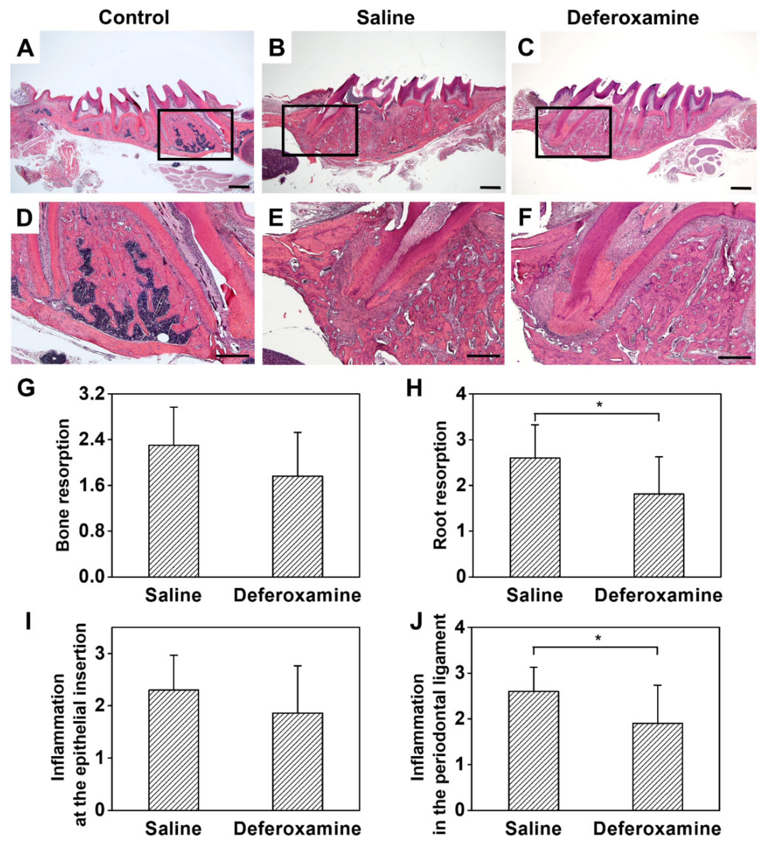 Ijms 22 08225 g005 550