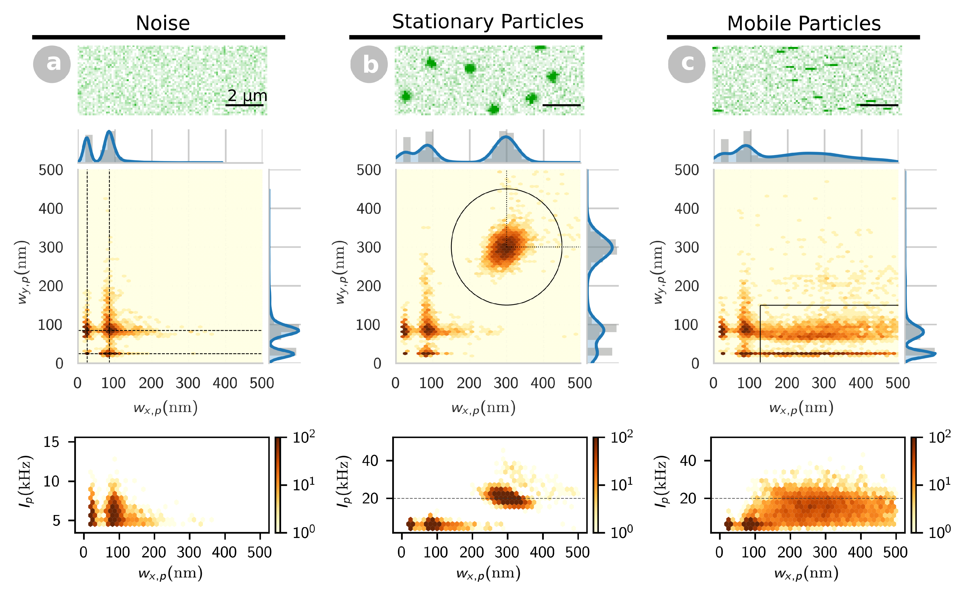 Ijms 22 08240 g001 Ijms 22 08240 g001