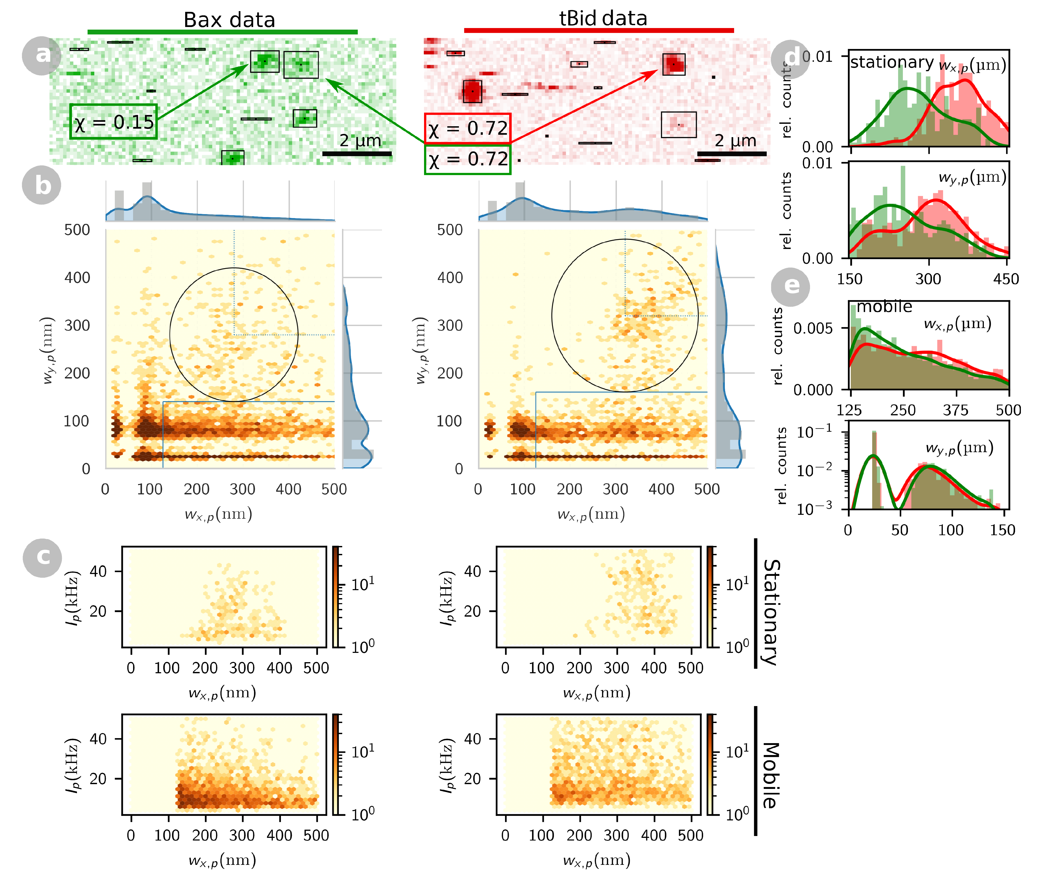 Ijms 22 08240 g003 Ijms 22 08240 g003