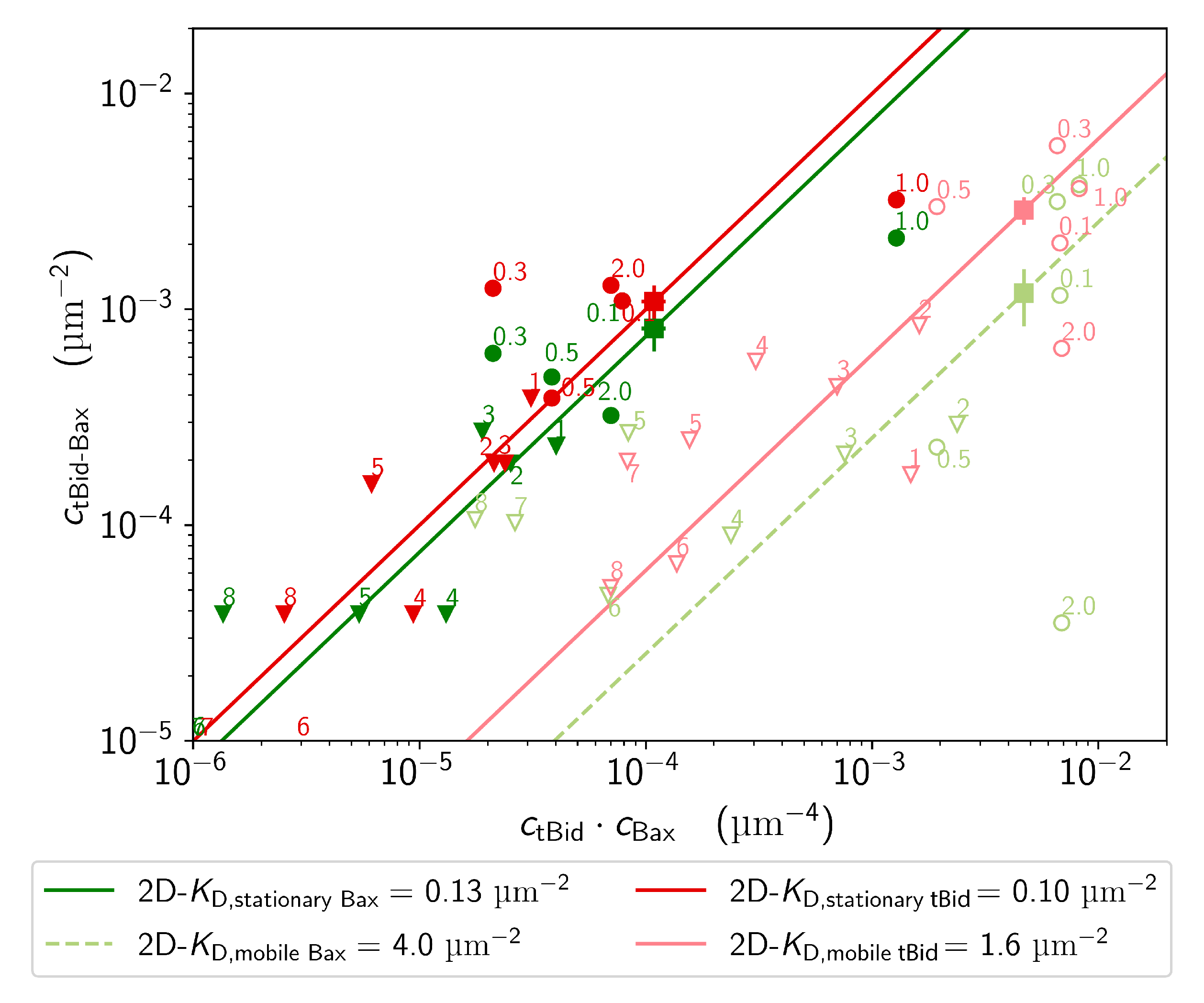 Ijms 22 08240 g007 Ijms 22 08240 g007