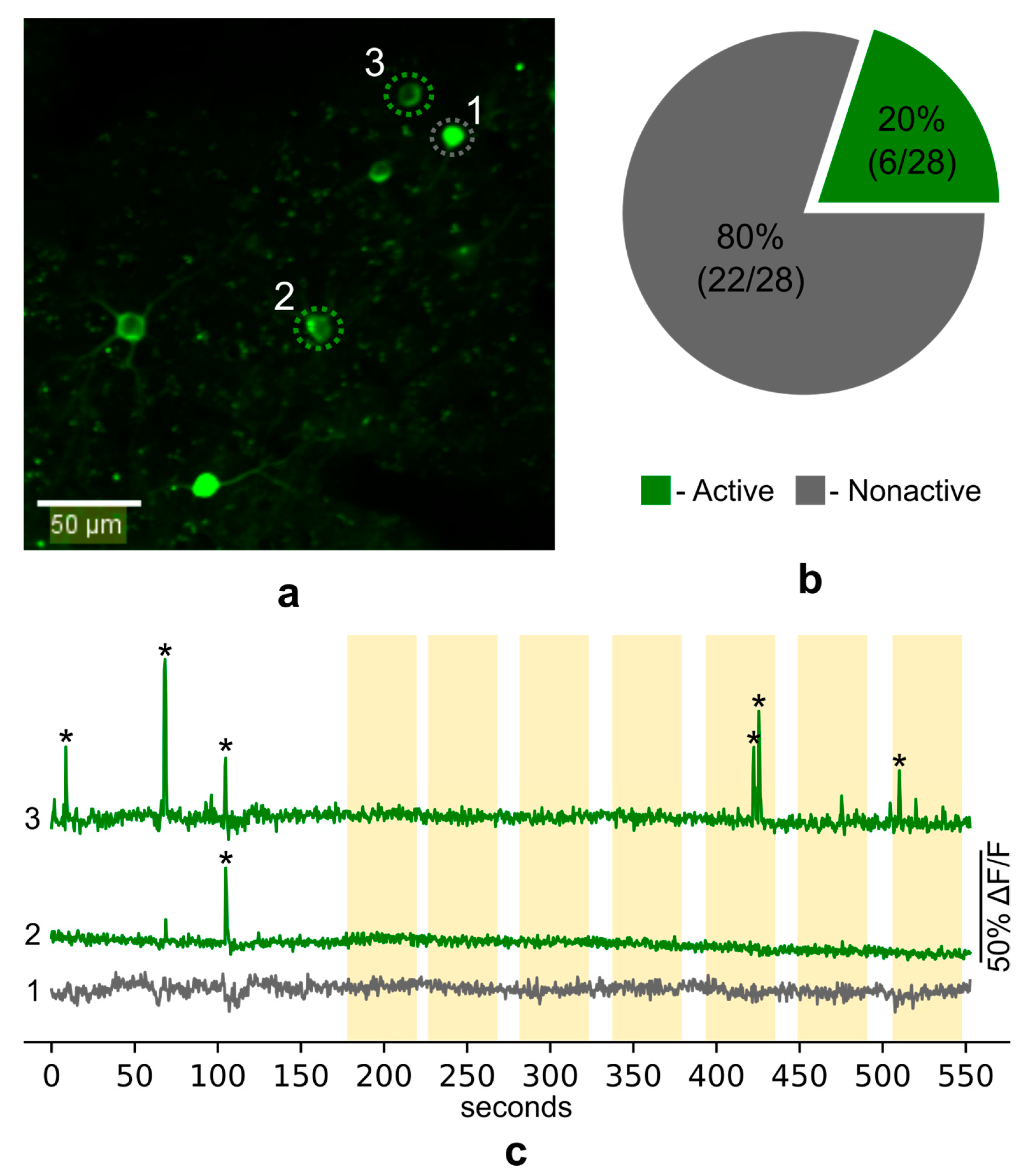 Ijms 22 08244 g007 550
