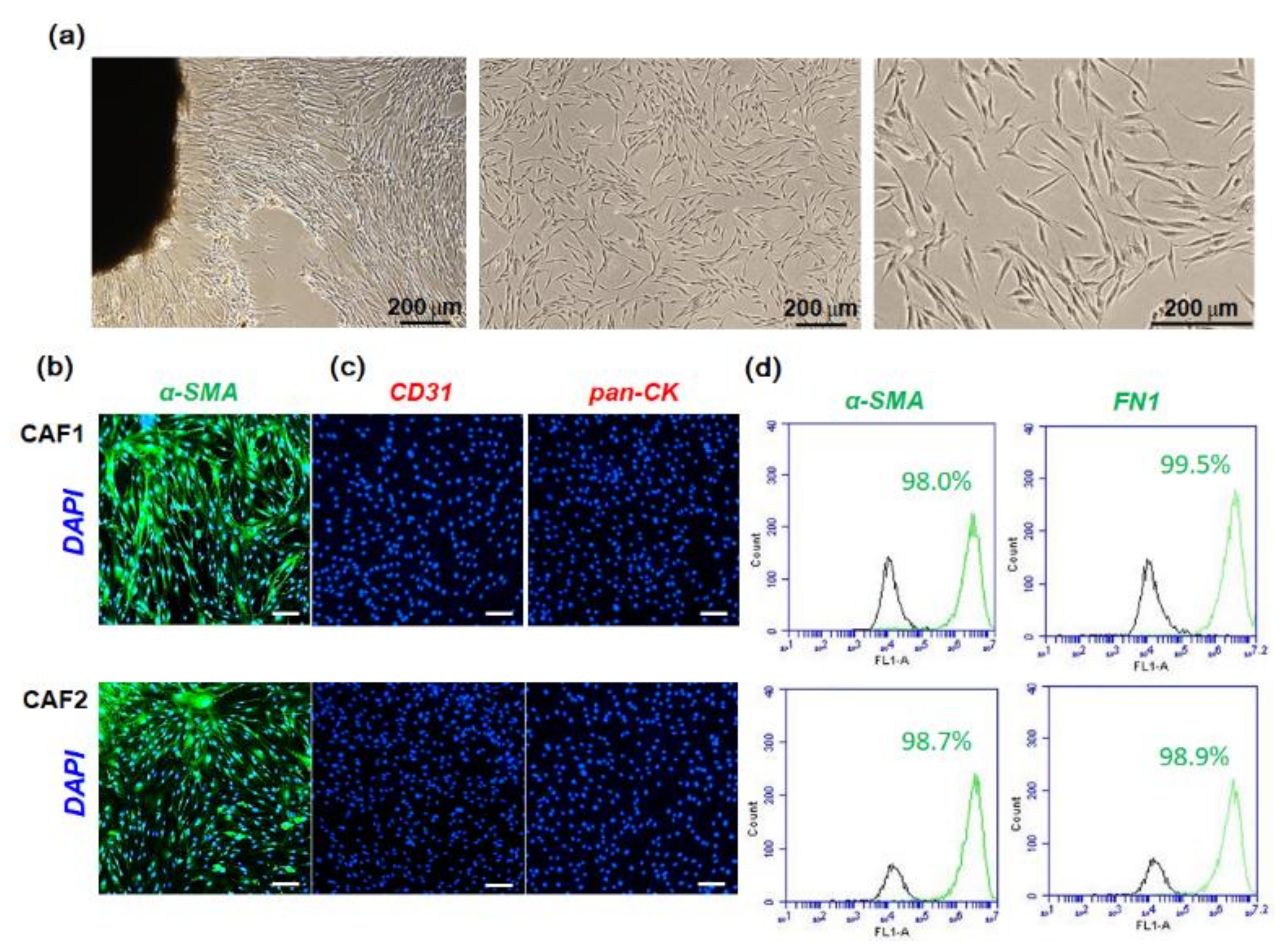 Ijms 22 08245 g001