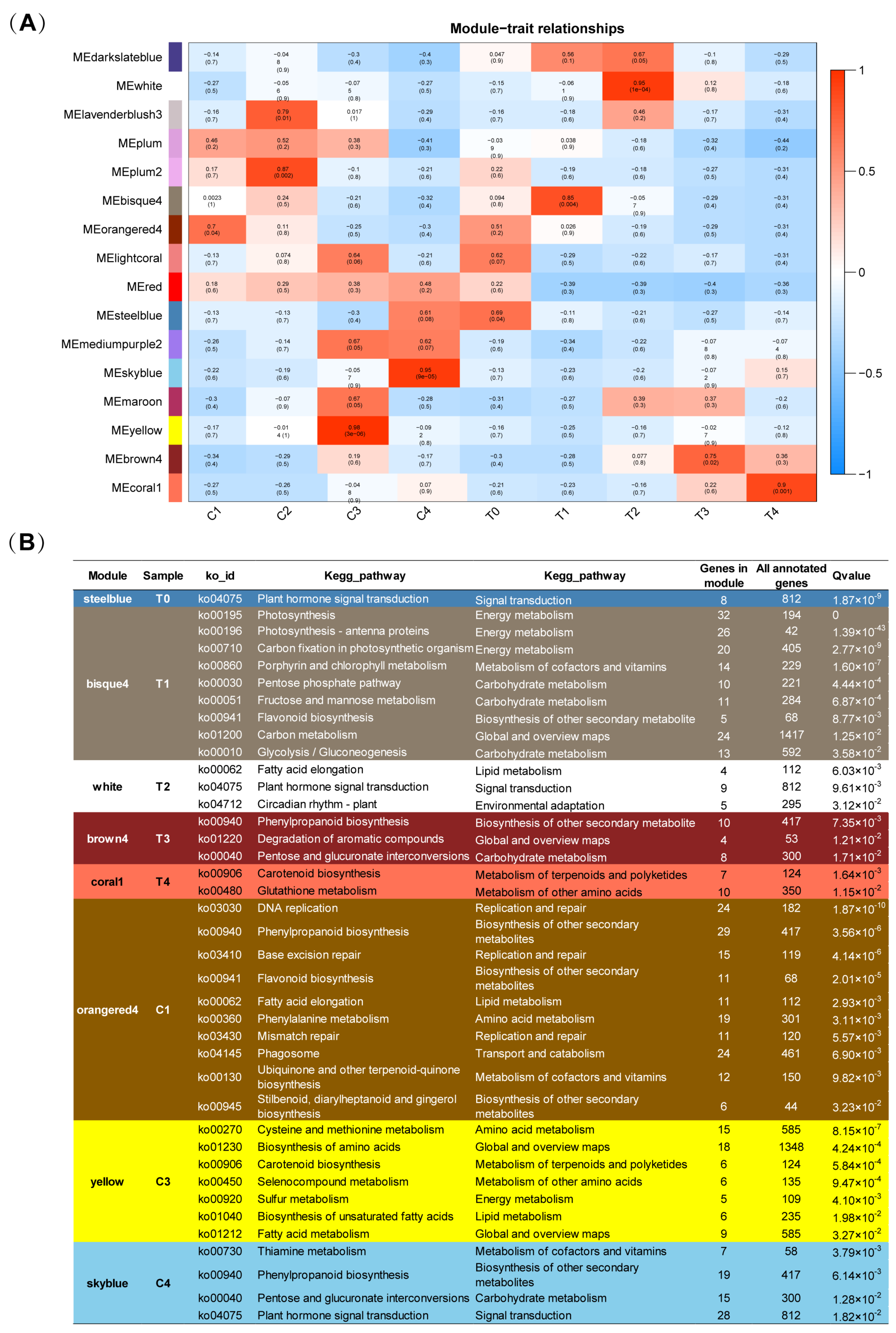 IJMS Free Full-Text Transcriptome-Based WGCNA Analysis Reveals Regulated Metabolite Fluxes between Floral Color and Scent in Narcissus tazetta Flower