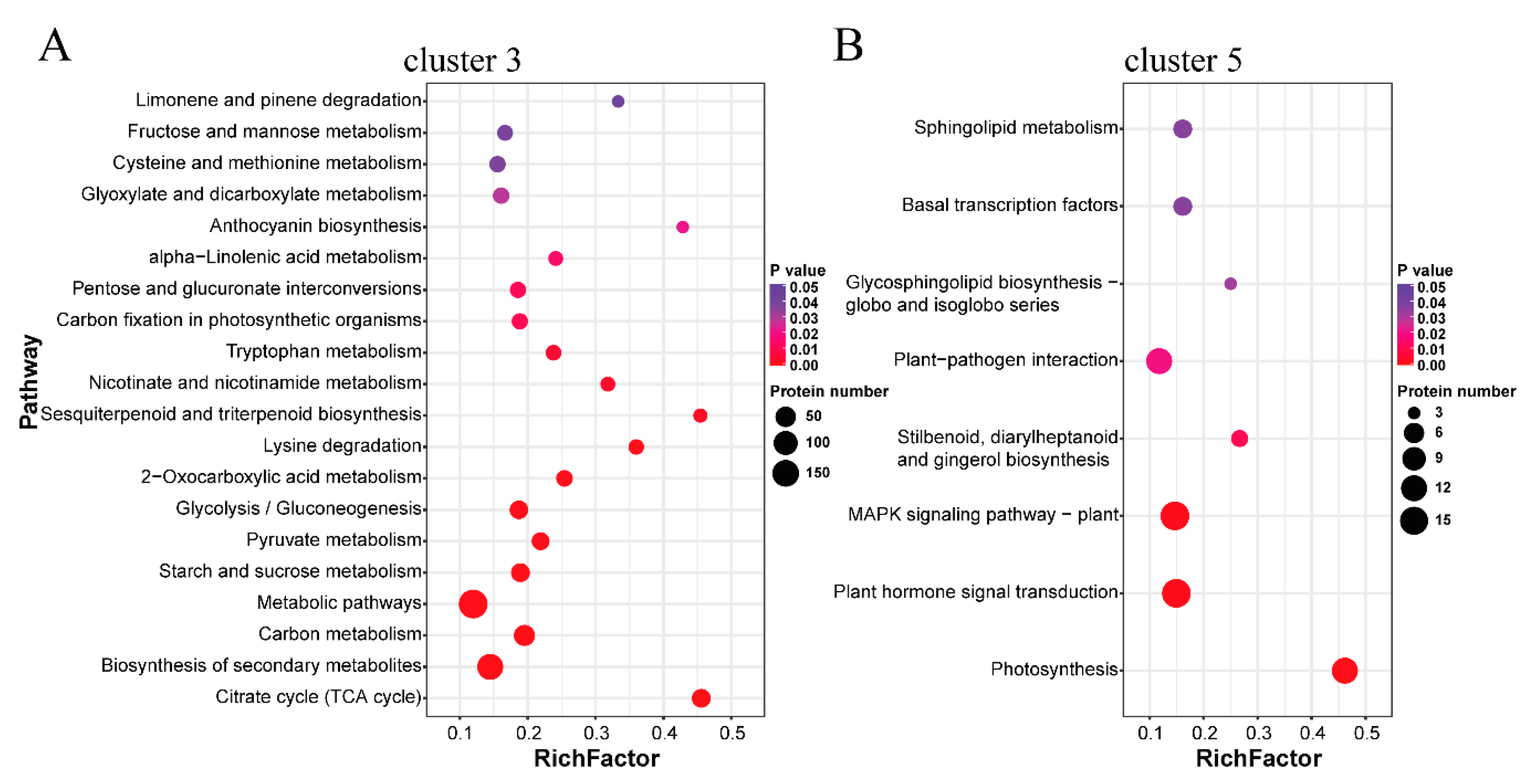 Ijms 22 08251 g003 550
