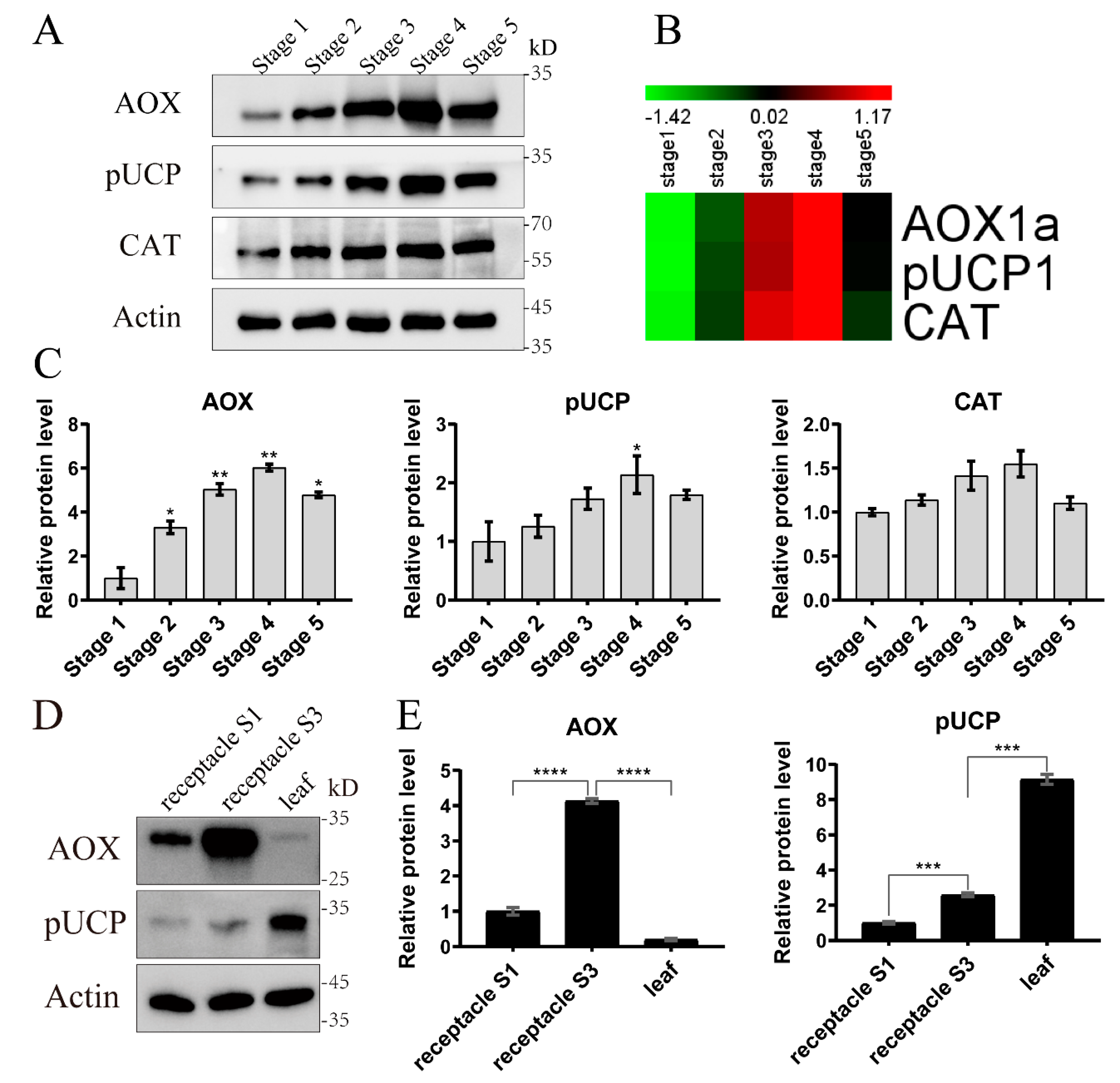 Ijms 22 08251 g005 550