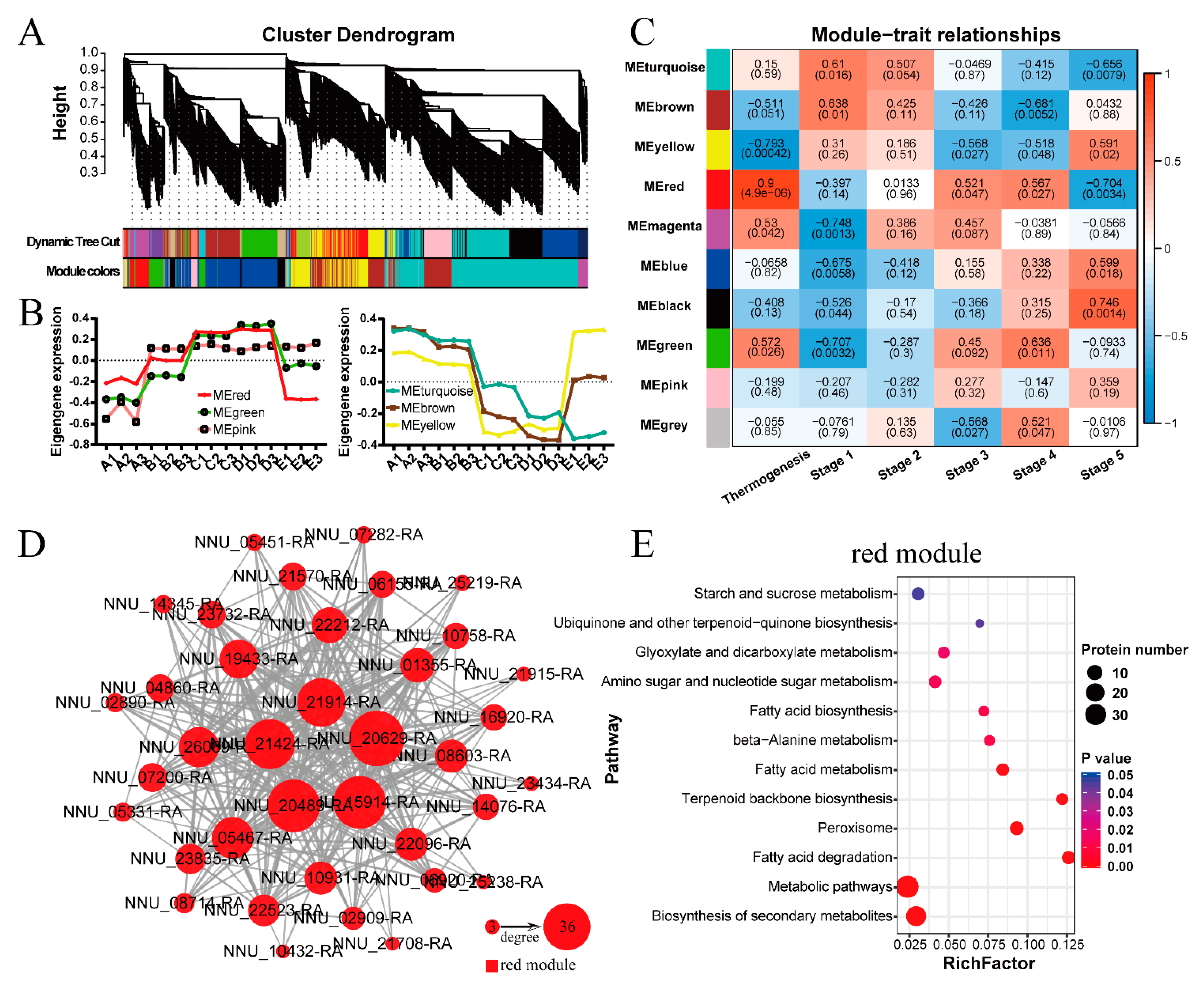 Ijms 22 08251 g007 550