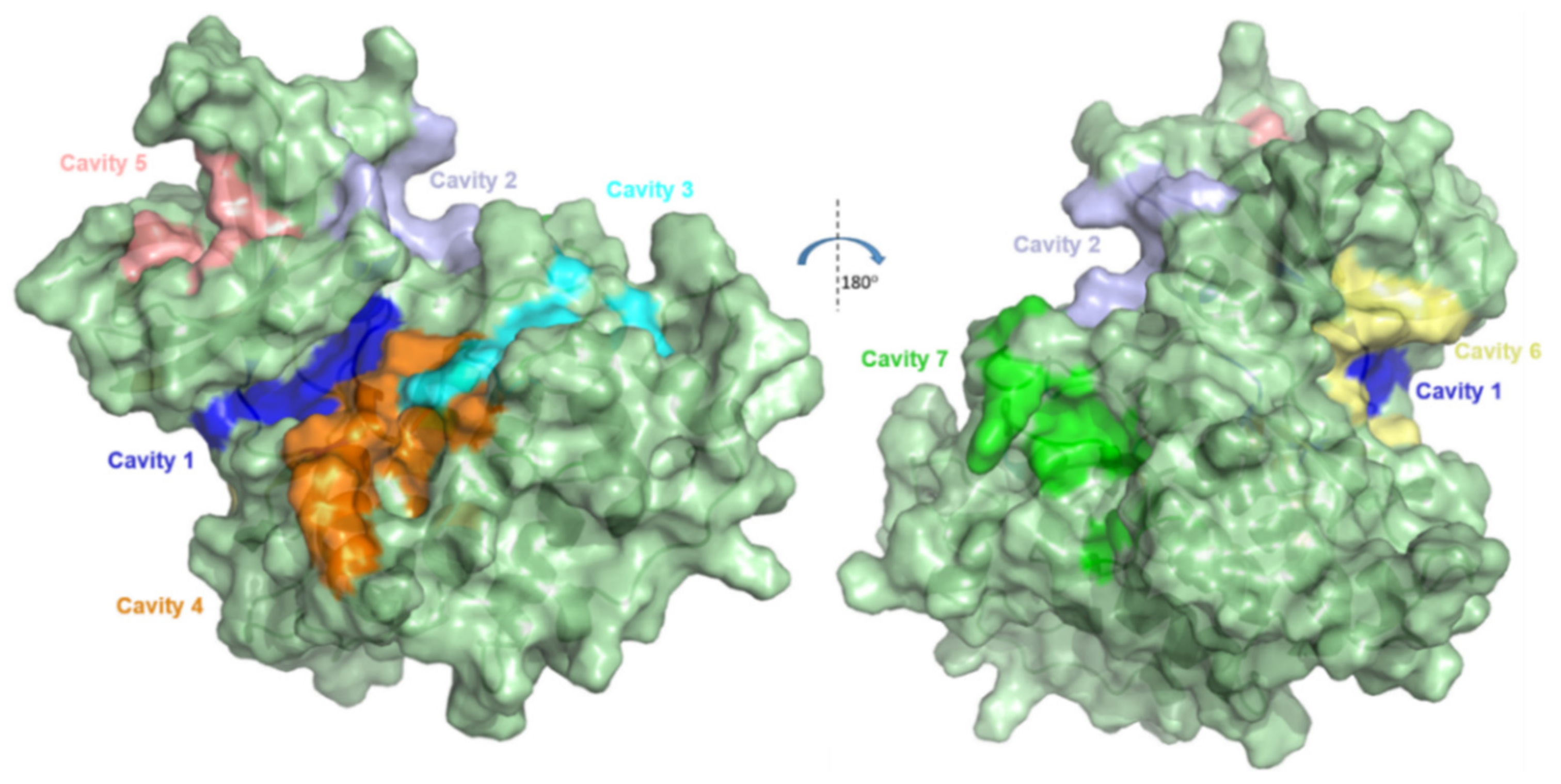 Ijms 22 08252 g001 550