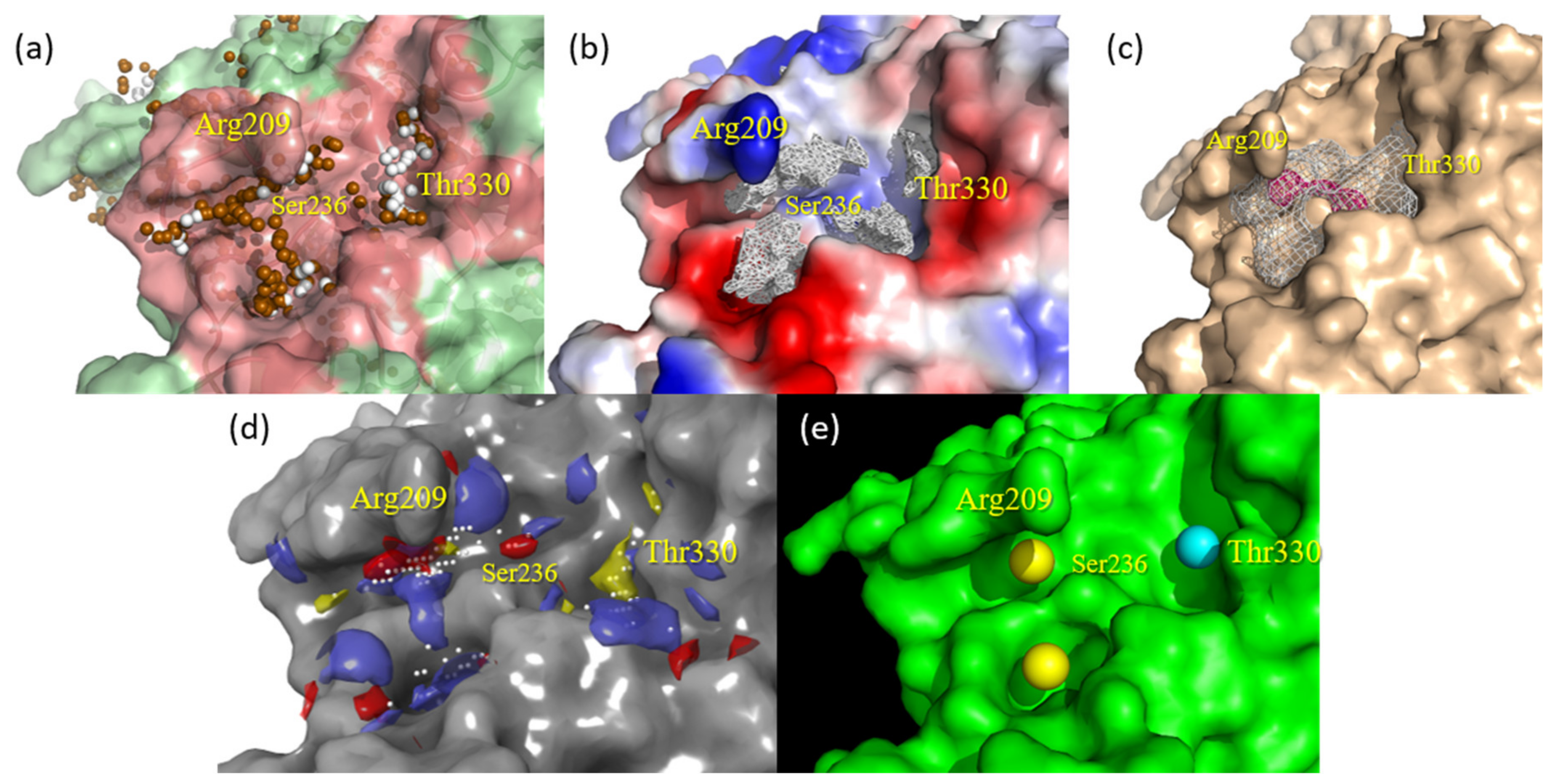 Ijms 22 08252 g003 550