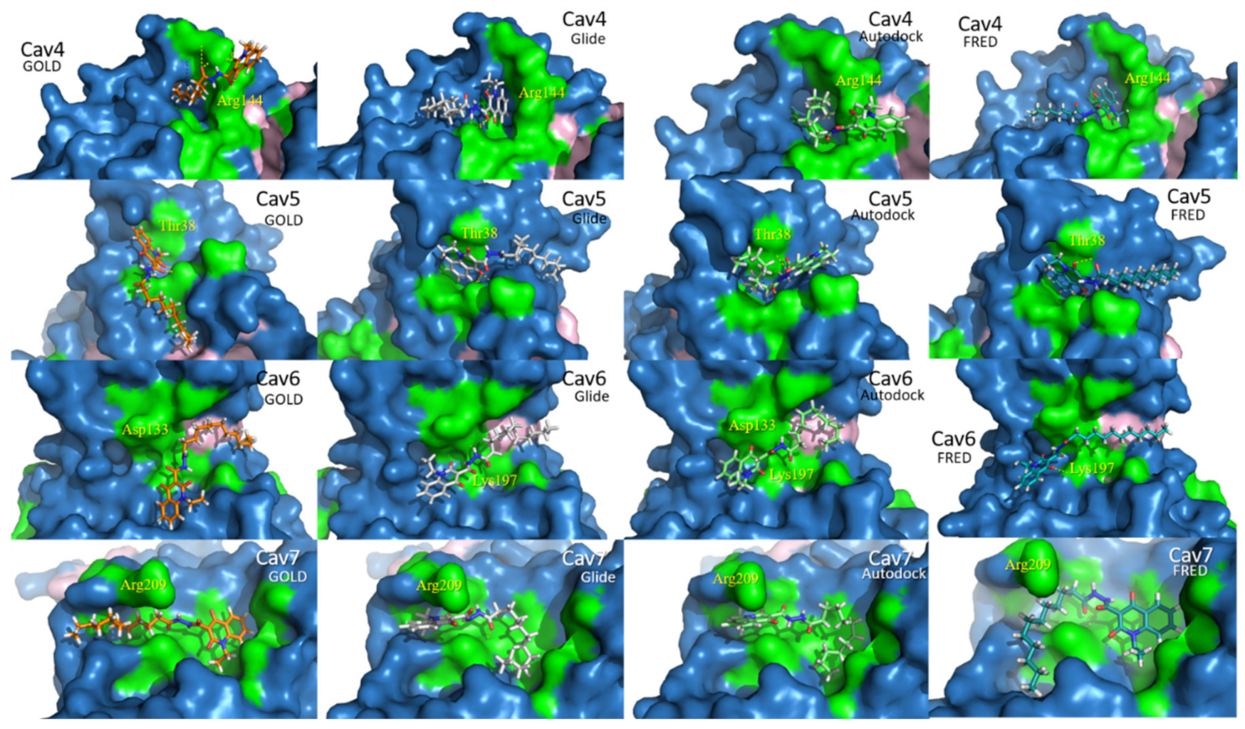 Ijms 22 08252 g004 550