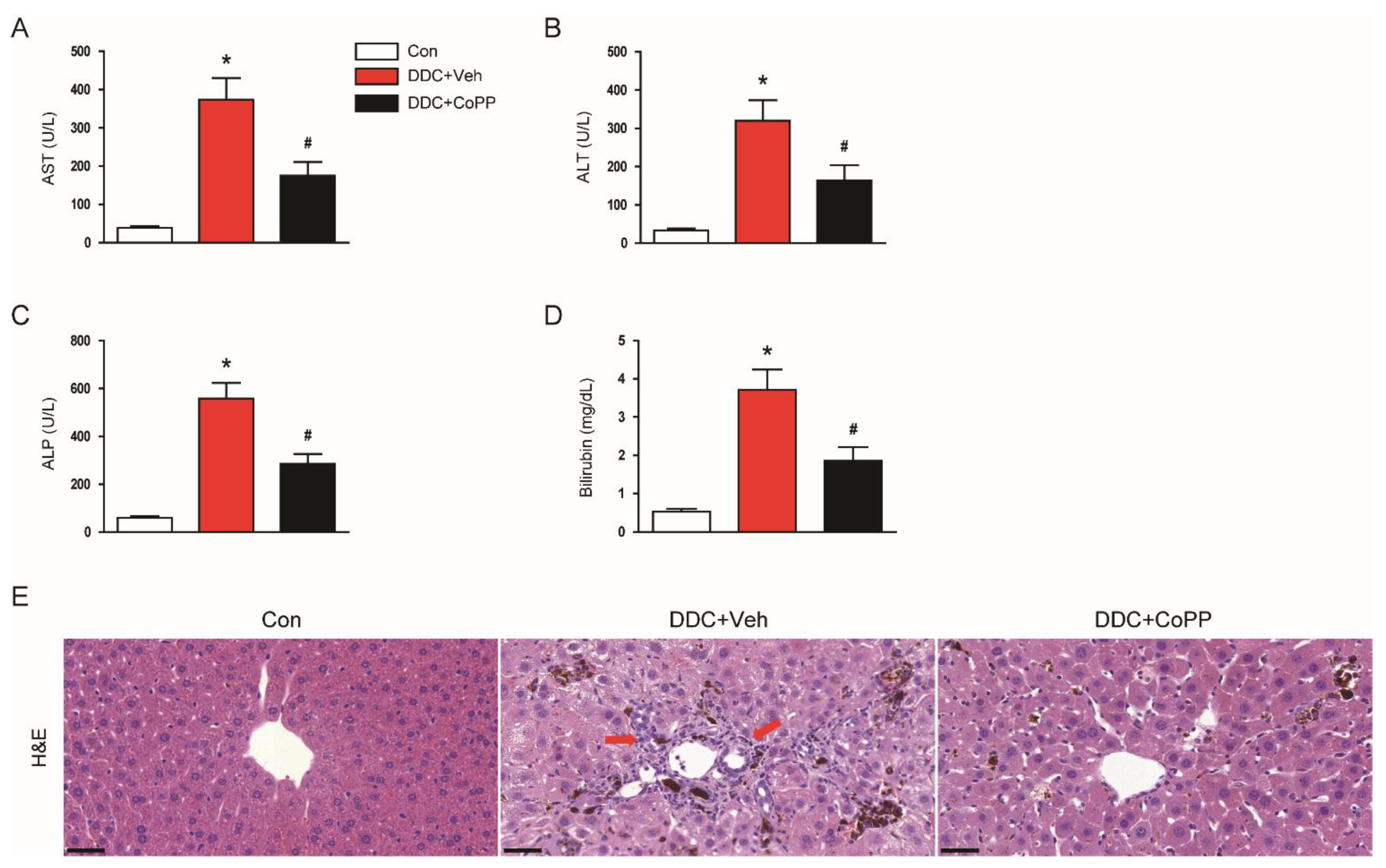 Ijms 22 08253 g001 Ijms 22 08253 g001