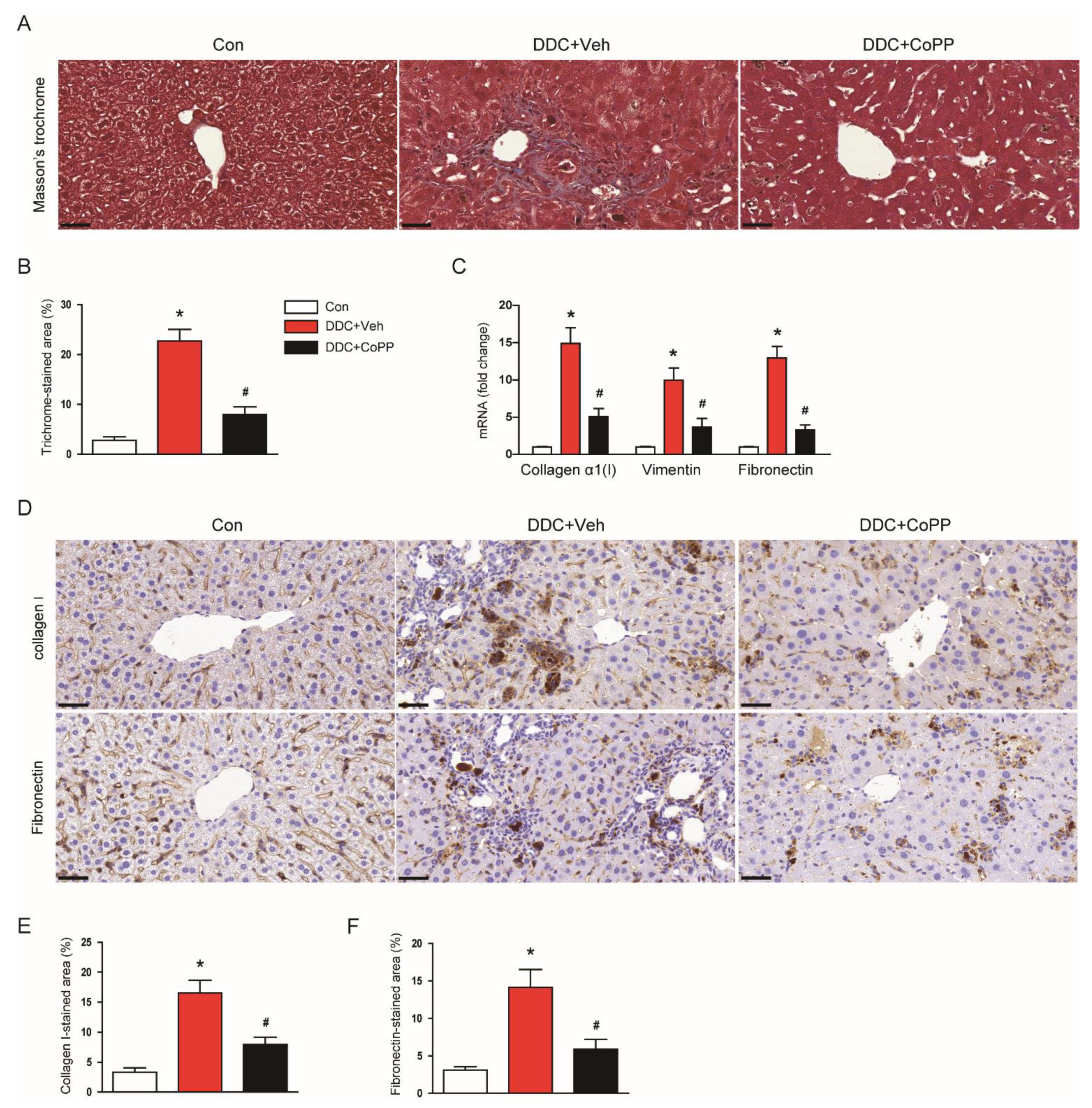 Ijms 22 08253 g007 Ijms 22 08253 g007