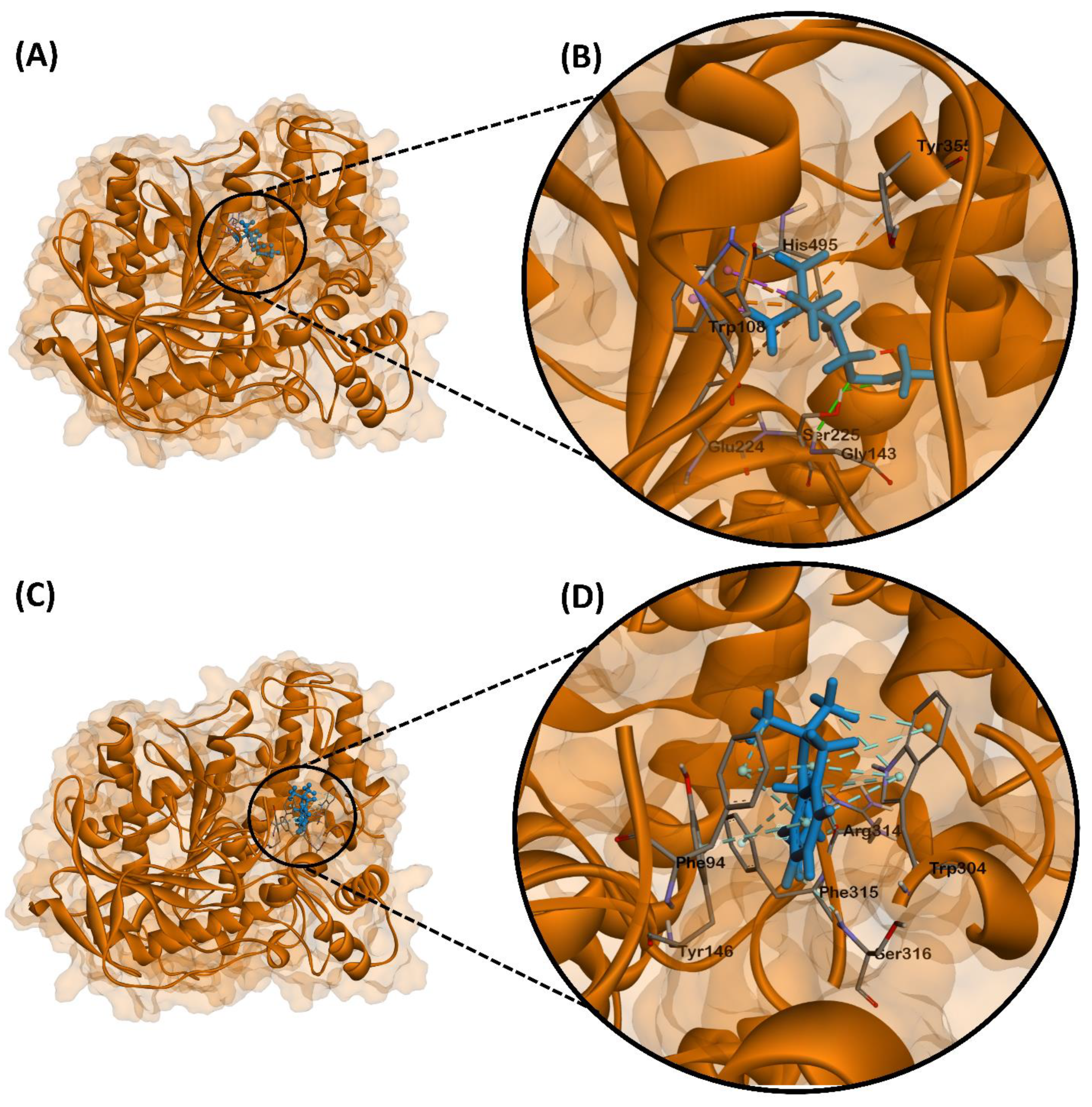 Ijms 22 08259 g009 550