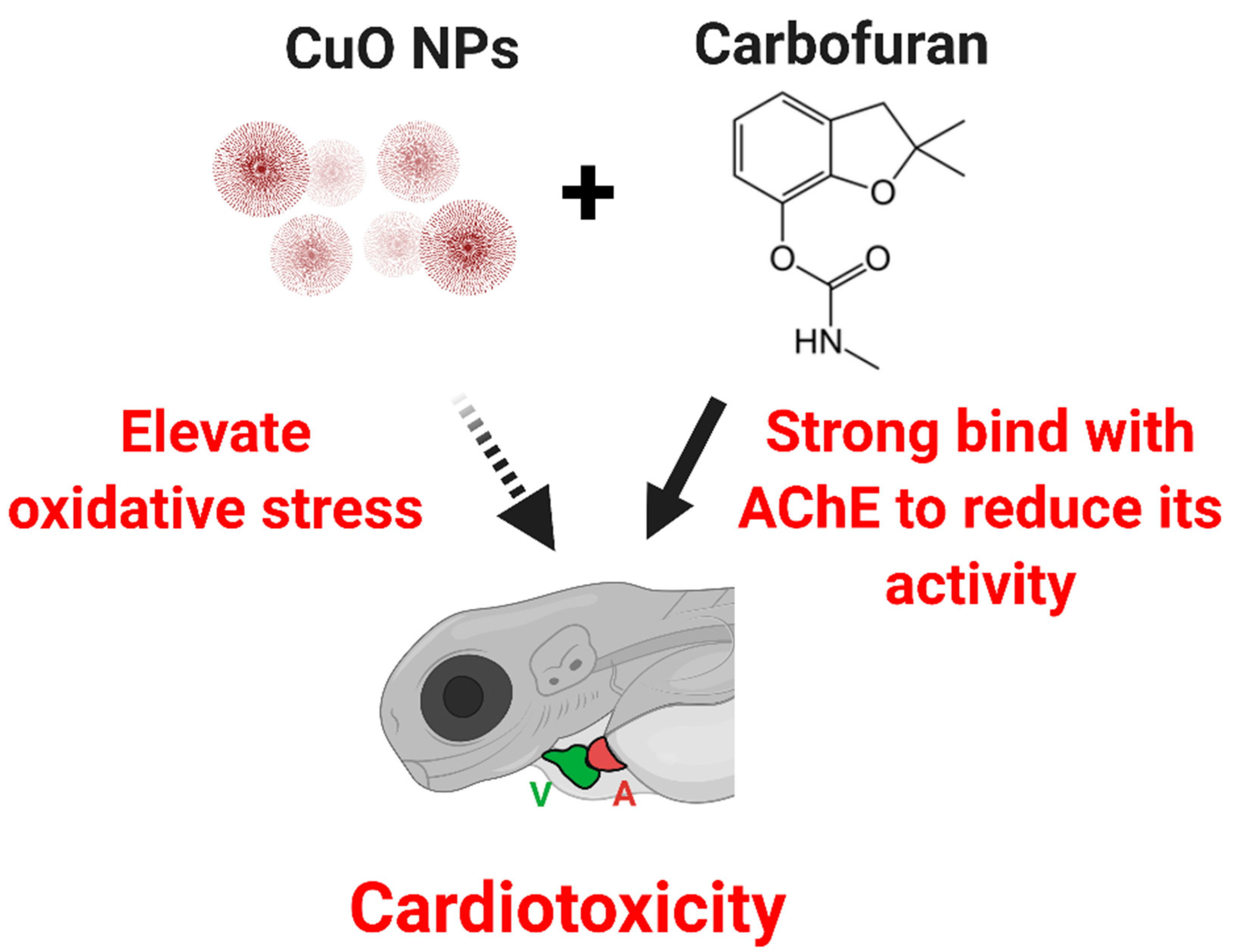 Ijms 22 08259 g010 550