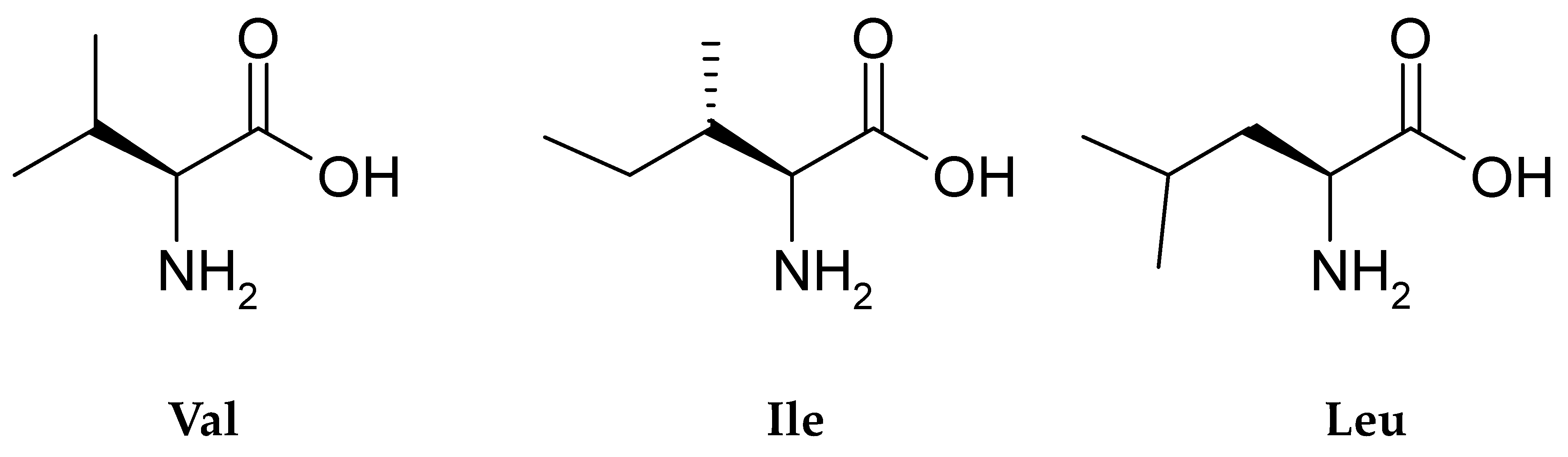 IJMS Free FullText Determination of BranchedChain Amino Acids in