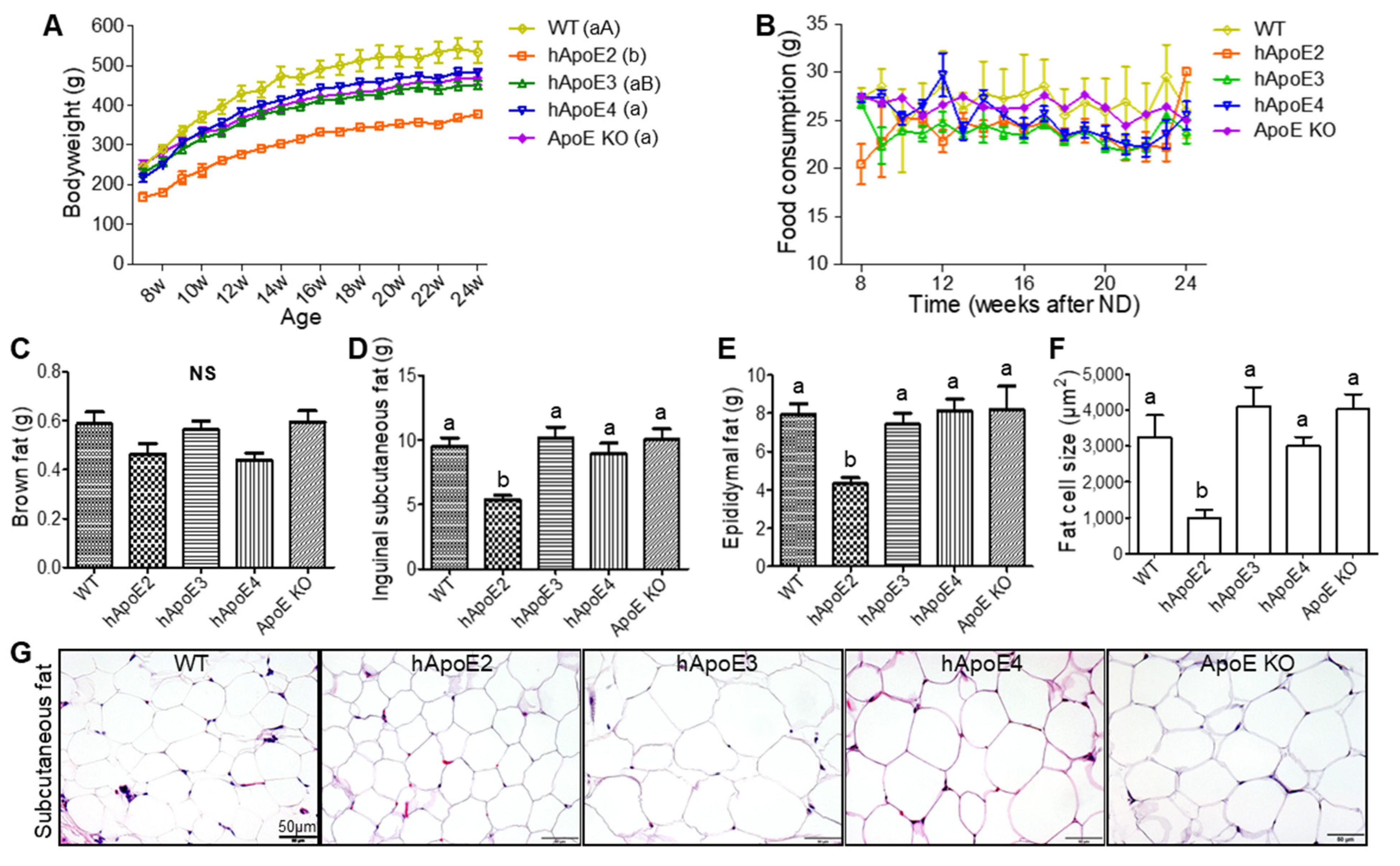 Ijms 22 08262 g002 550