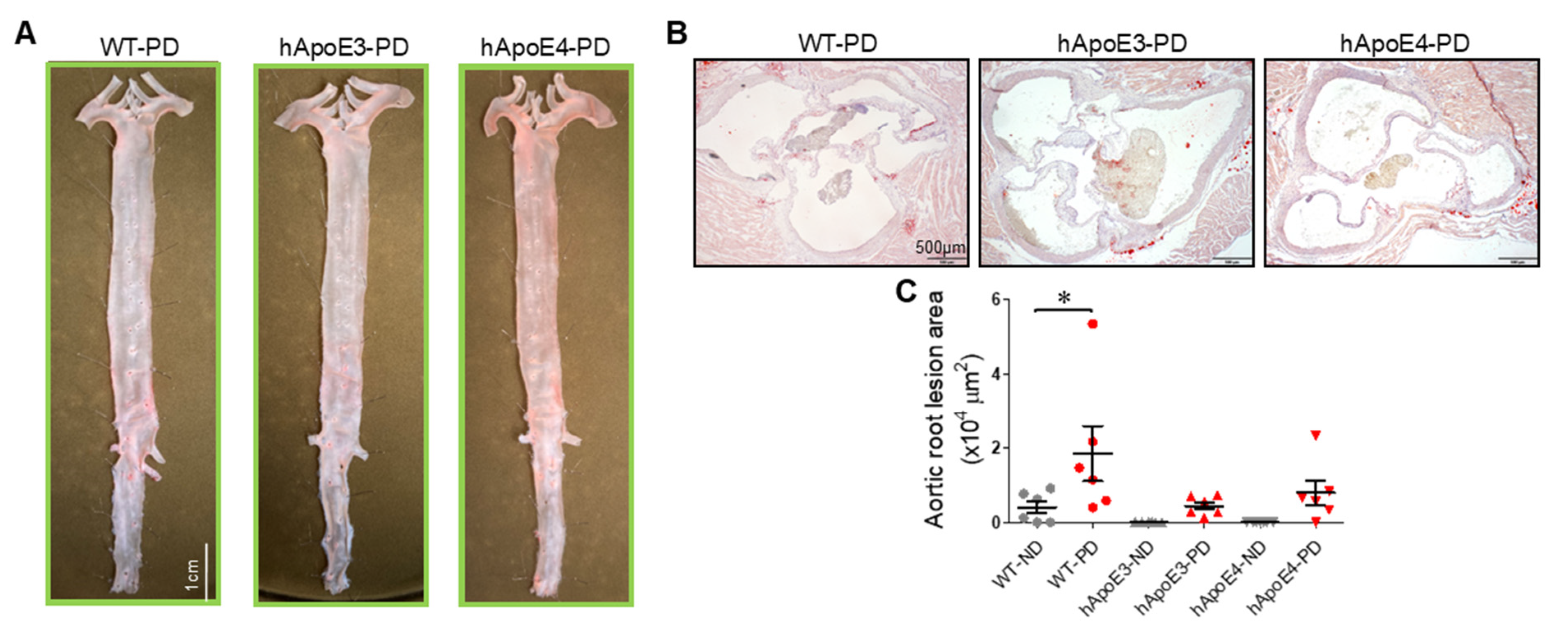 Ijms 22 08262 g008 550