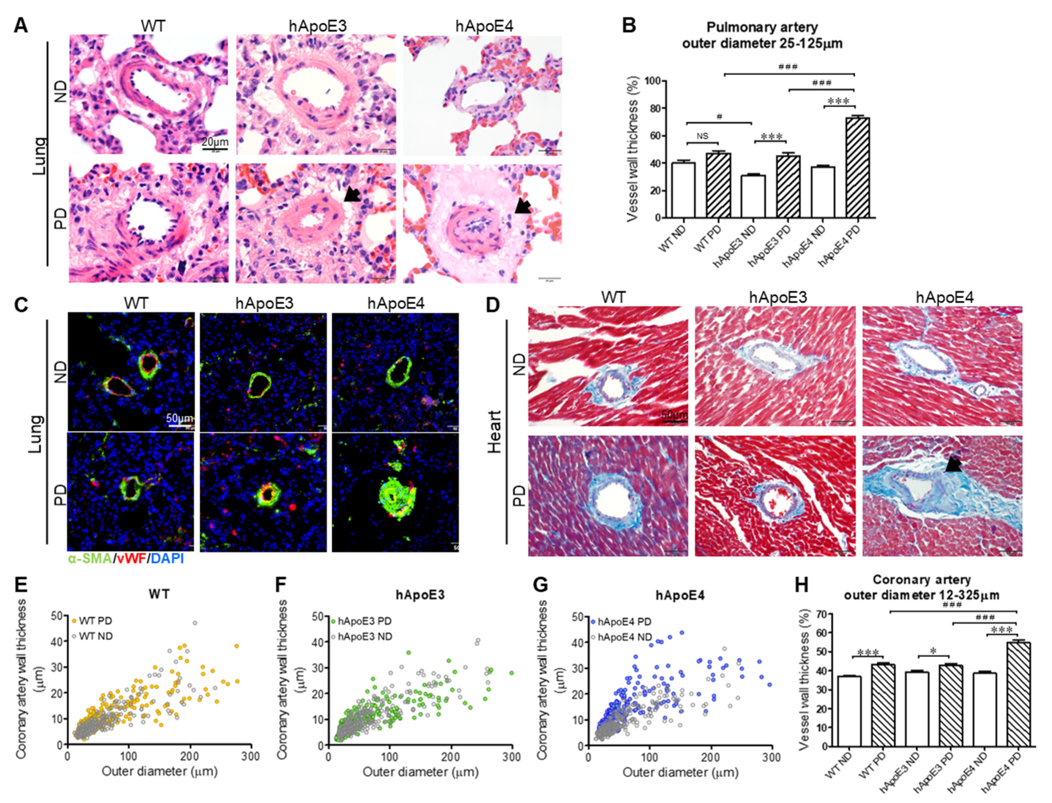 Ijms 22 08262 g009 550
