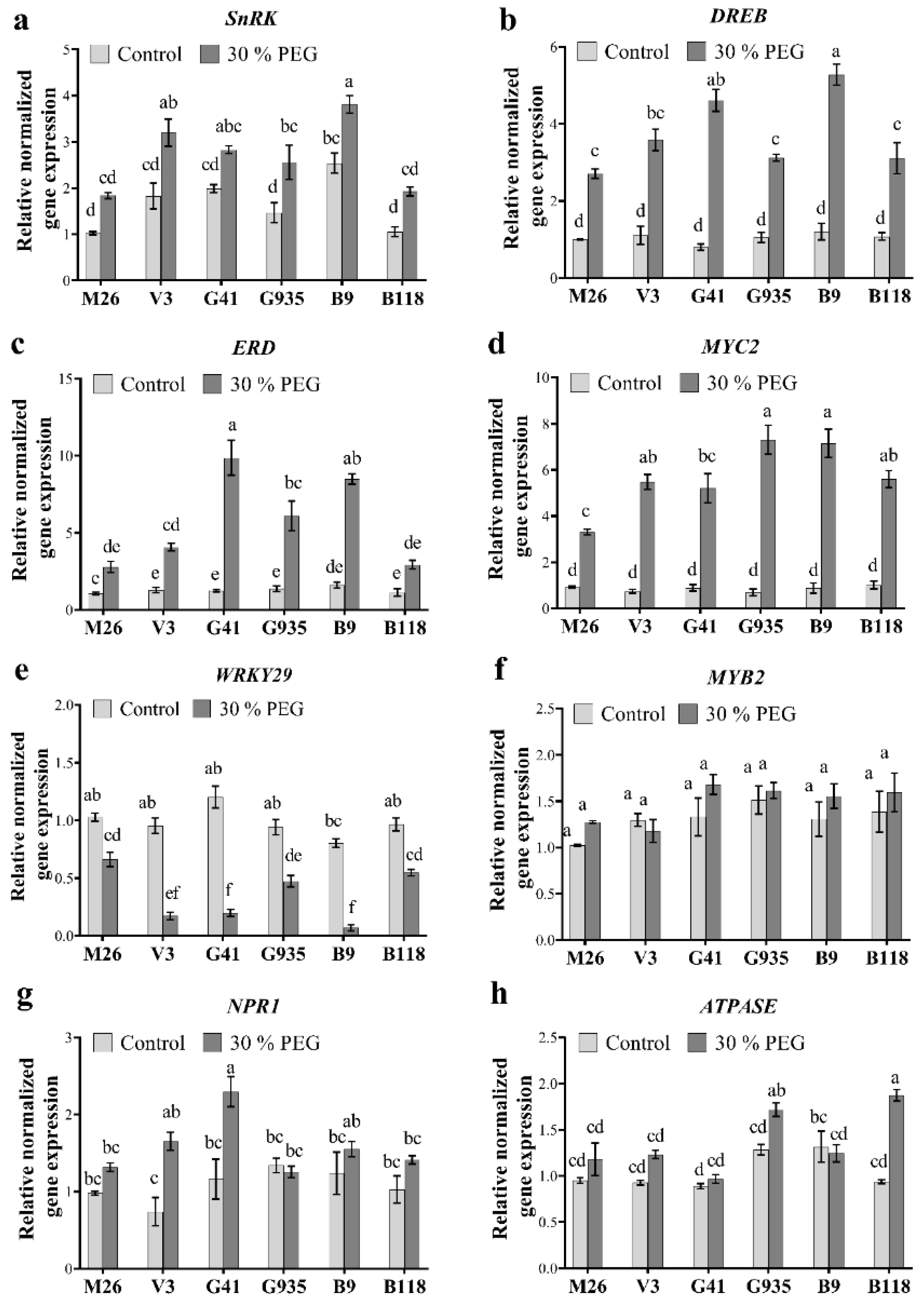 Ijms 22 08263 g004 Ijms 22 08263 g004