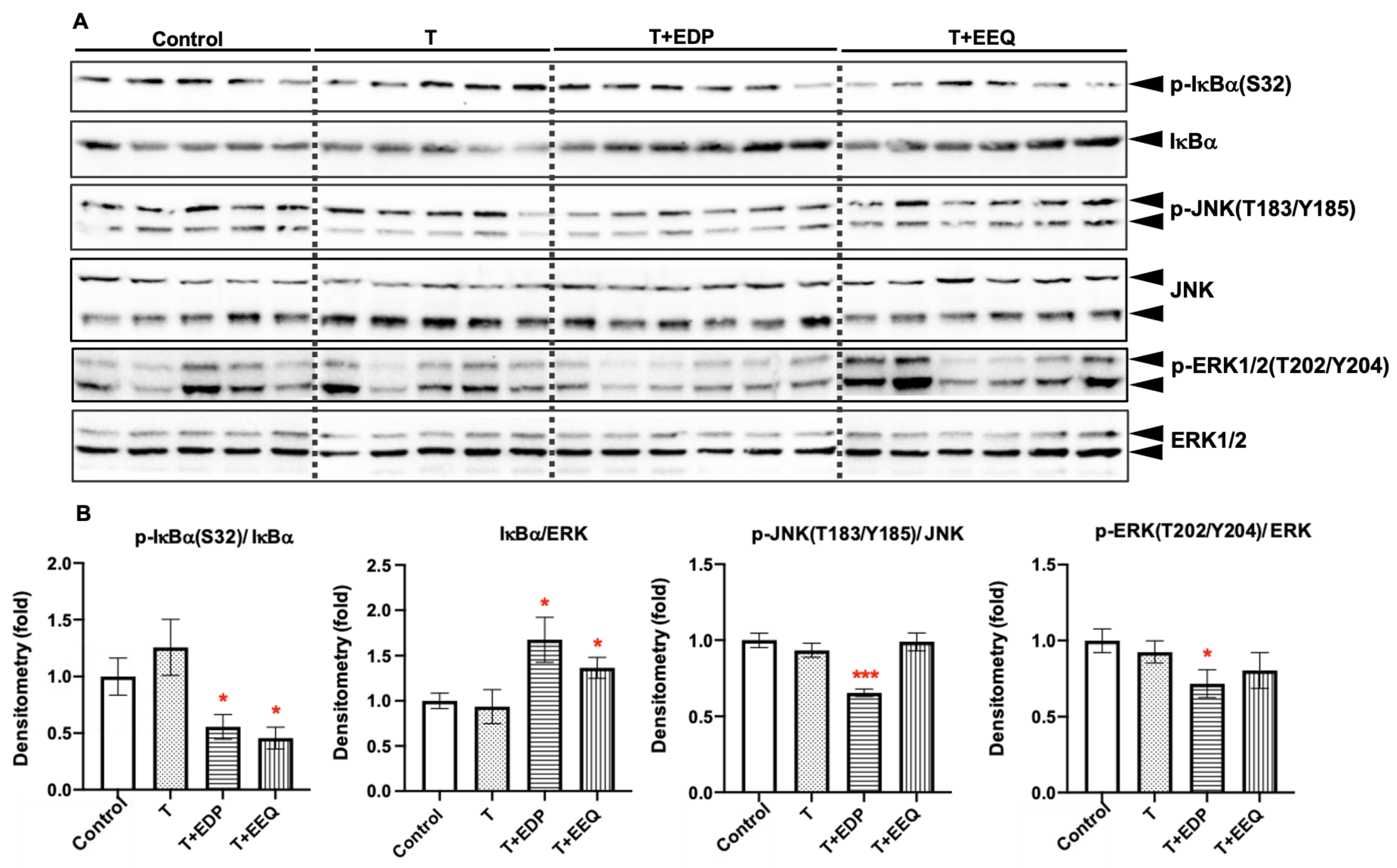 Ijms 22 08267 g006 550