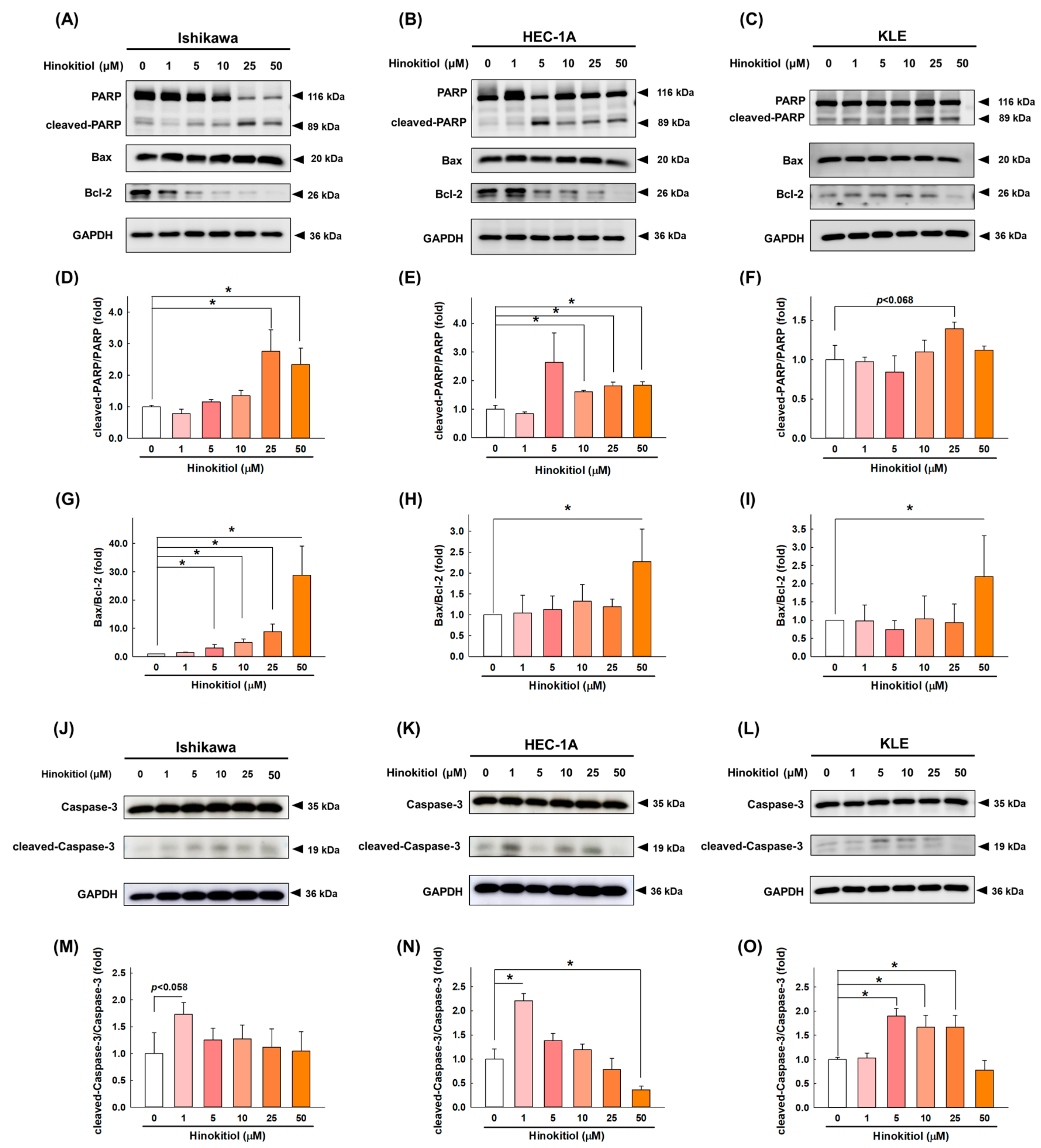 Ijms 22 08268 g004 550