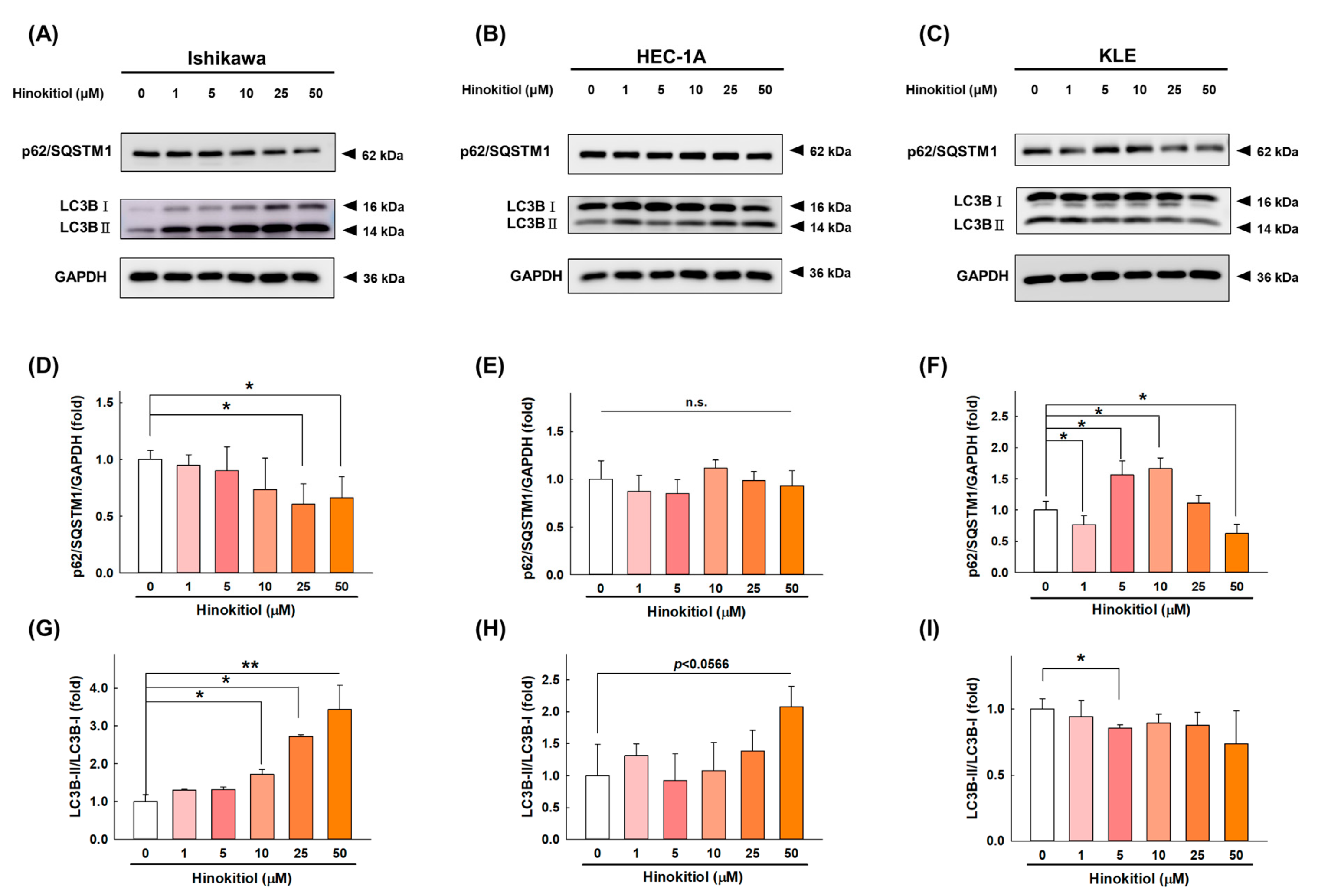 Ijms 22 08268 g005 550