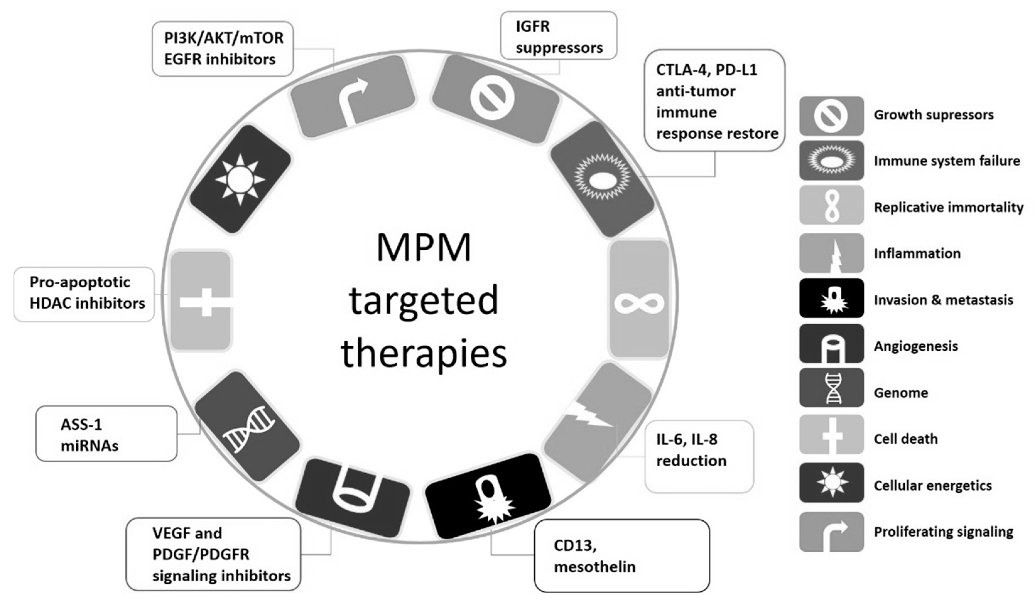 cystic mesothelioma pathology outlines