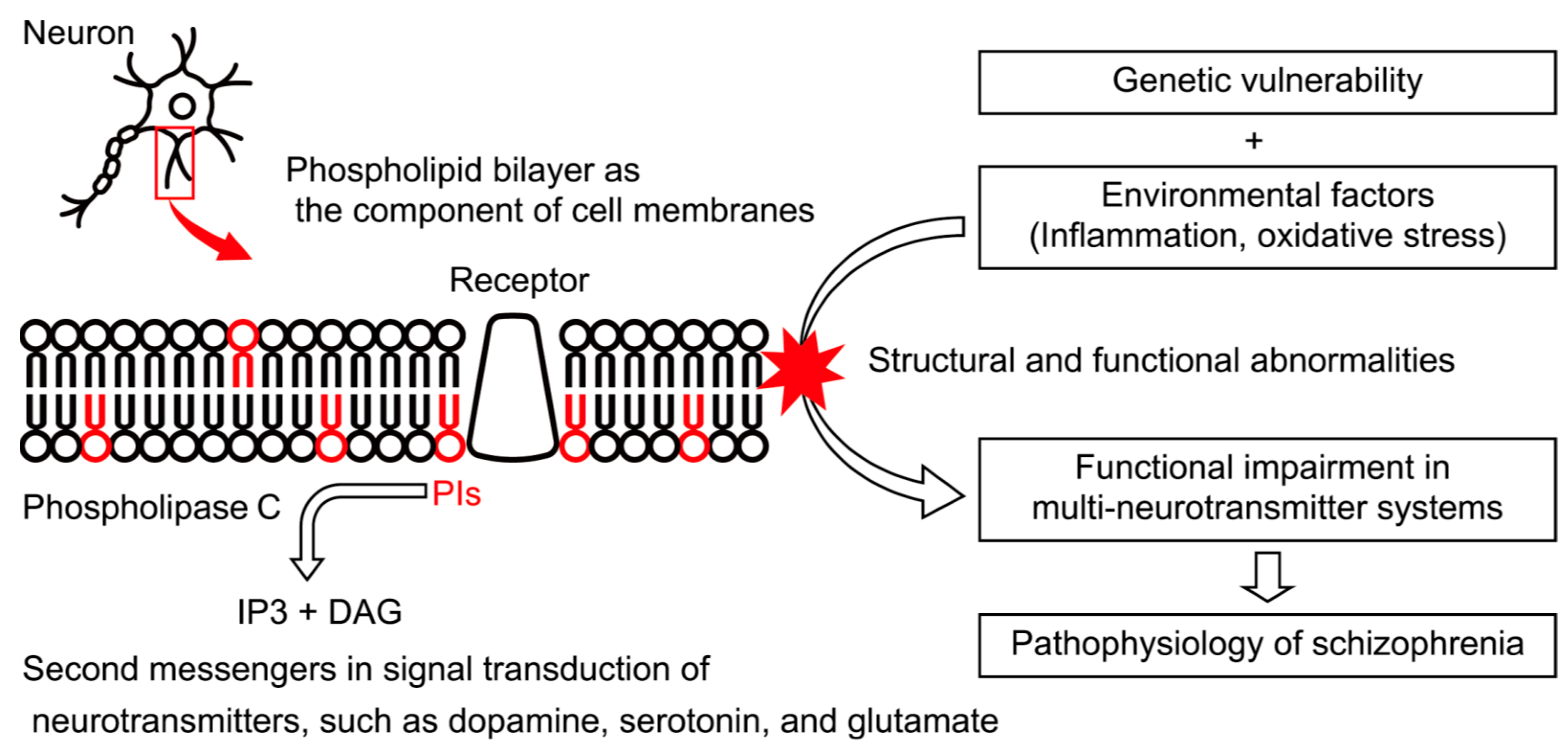 Ijms 22 08280 g002 550