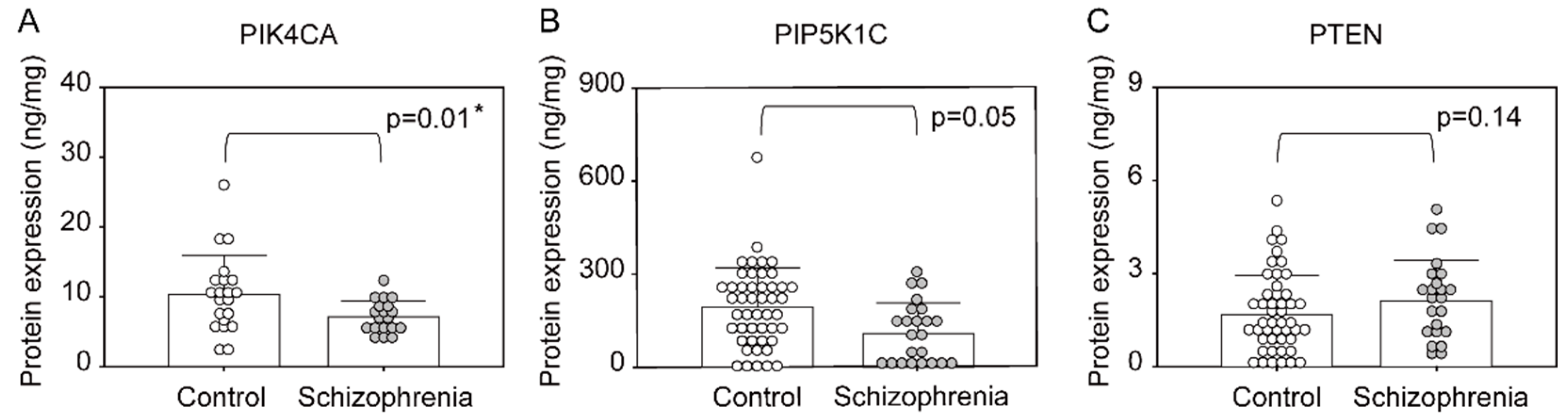 Ijms 22 08280 g003 550