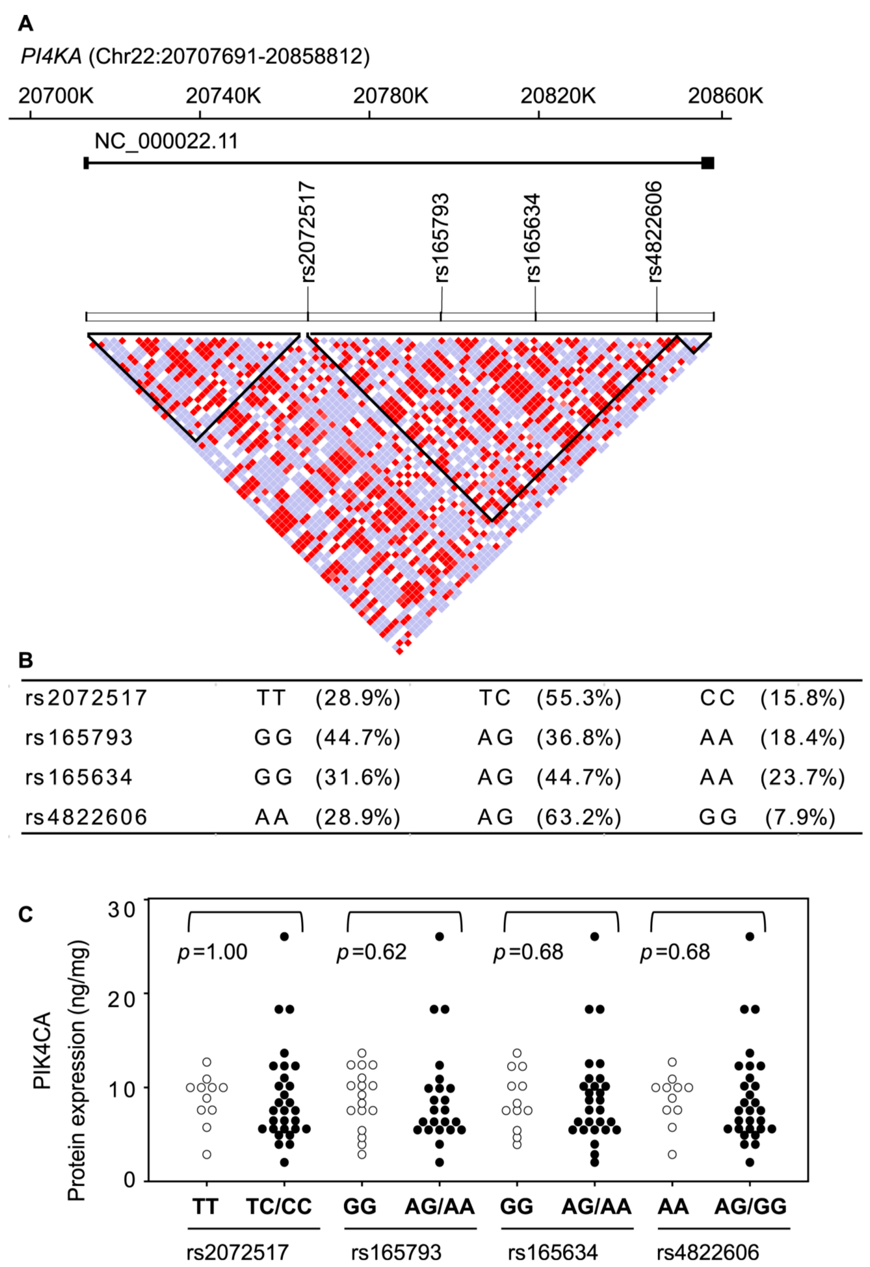 Ijms 22 08280 g007 550