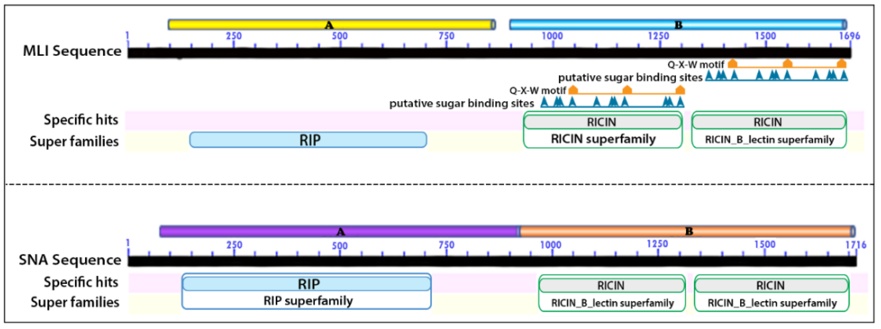 Ijms 22 08284 g001 550