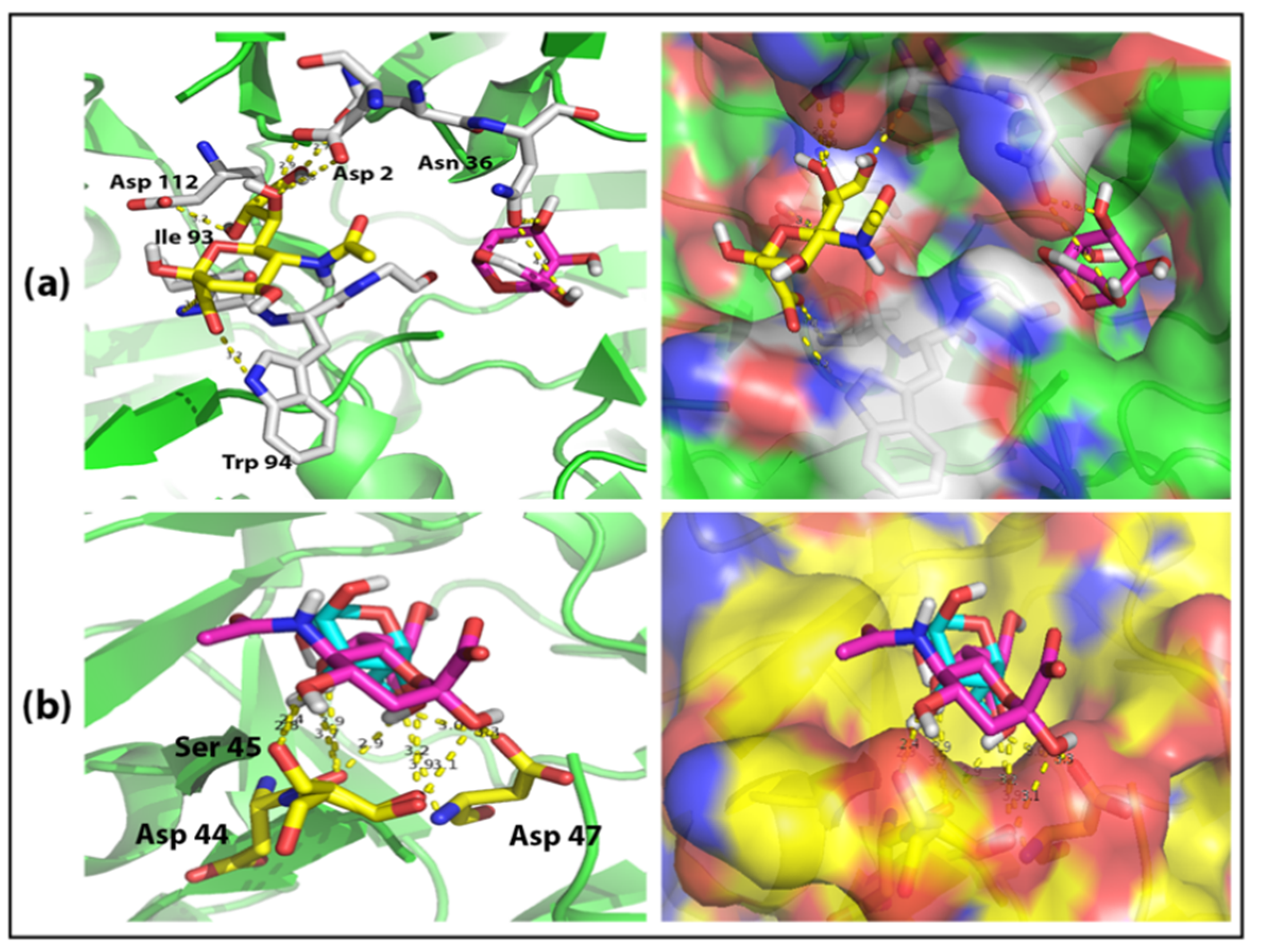 Ijms 22 08284 g002 550