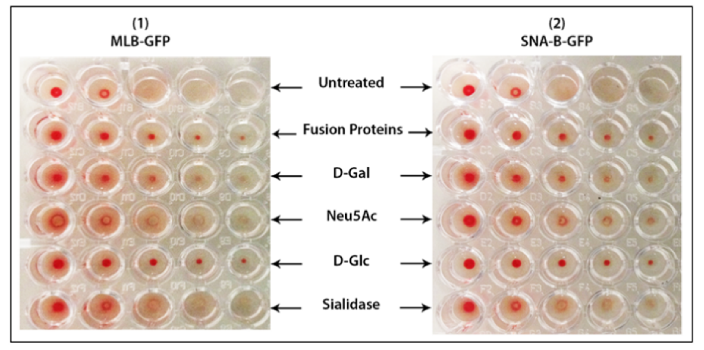 Ijms 22 08284 g007 550