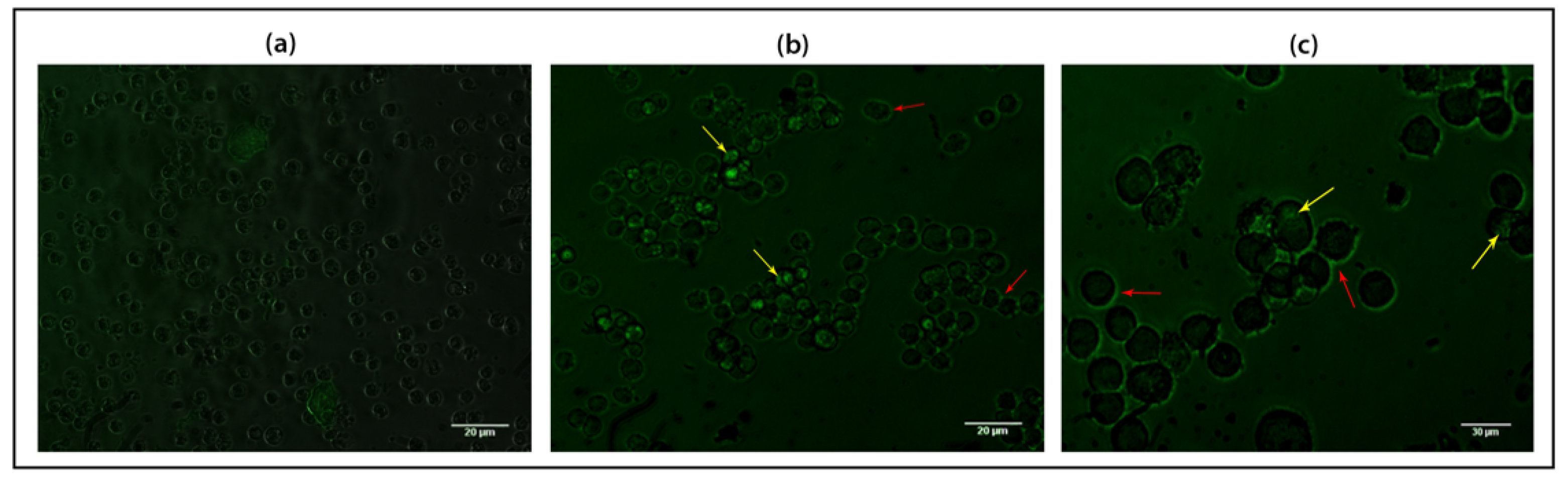 Ijms 22 08284 g008 550