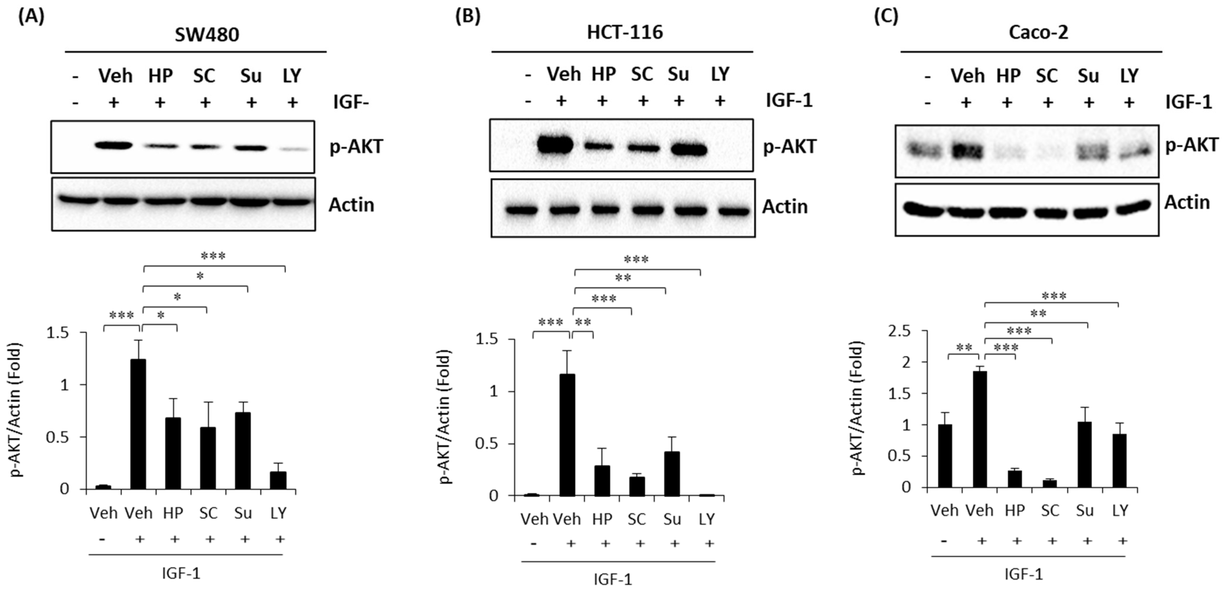 Ijms 22 08286 g004 550