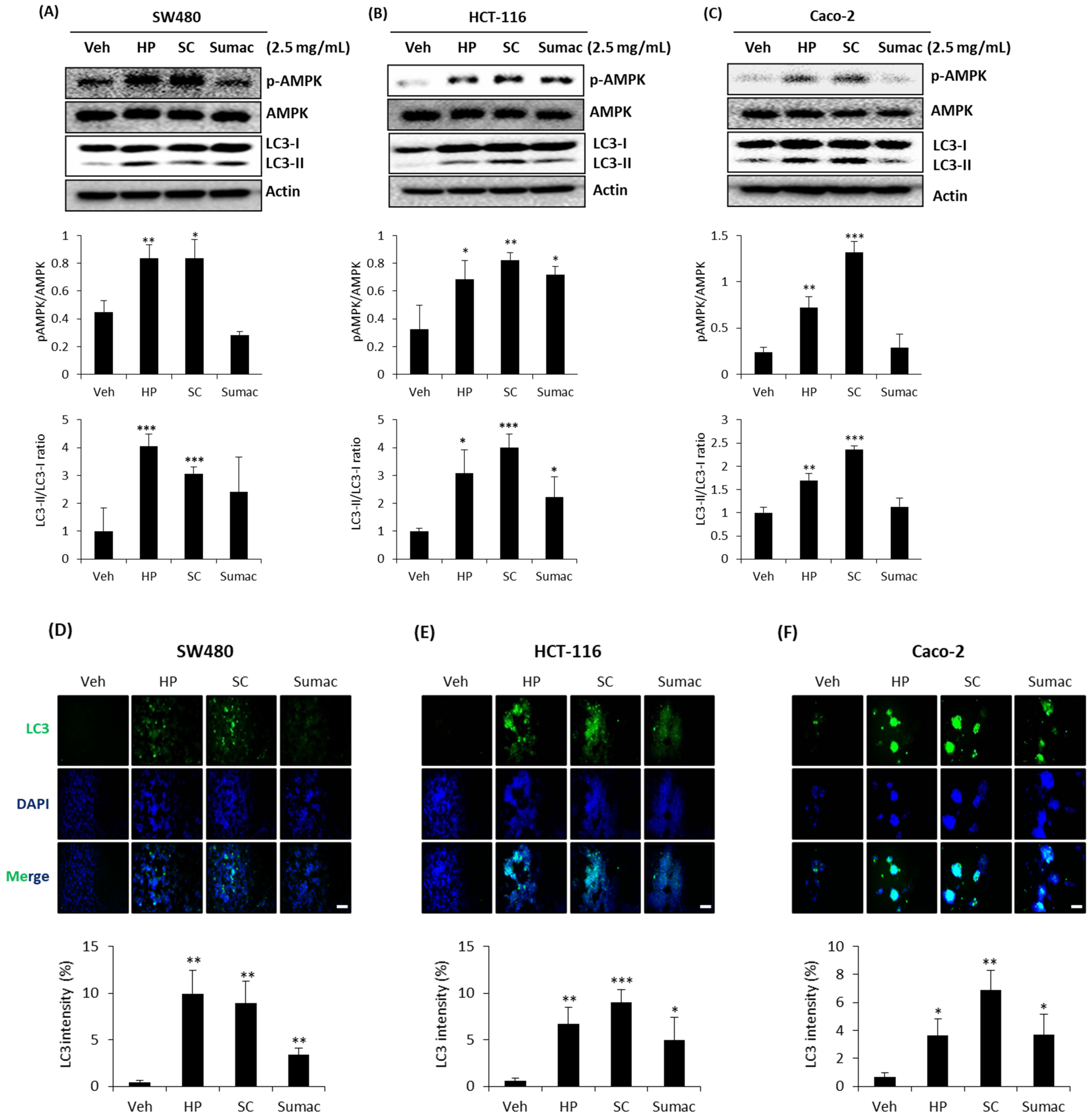 Ijms 22 08286 g005 550