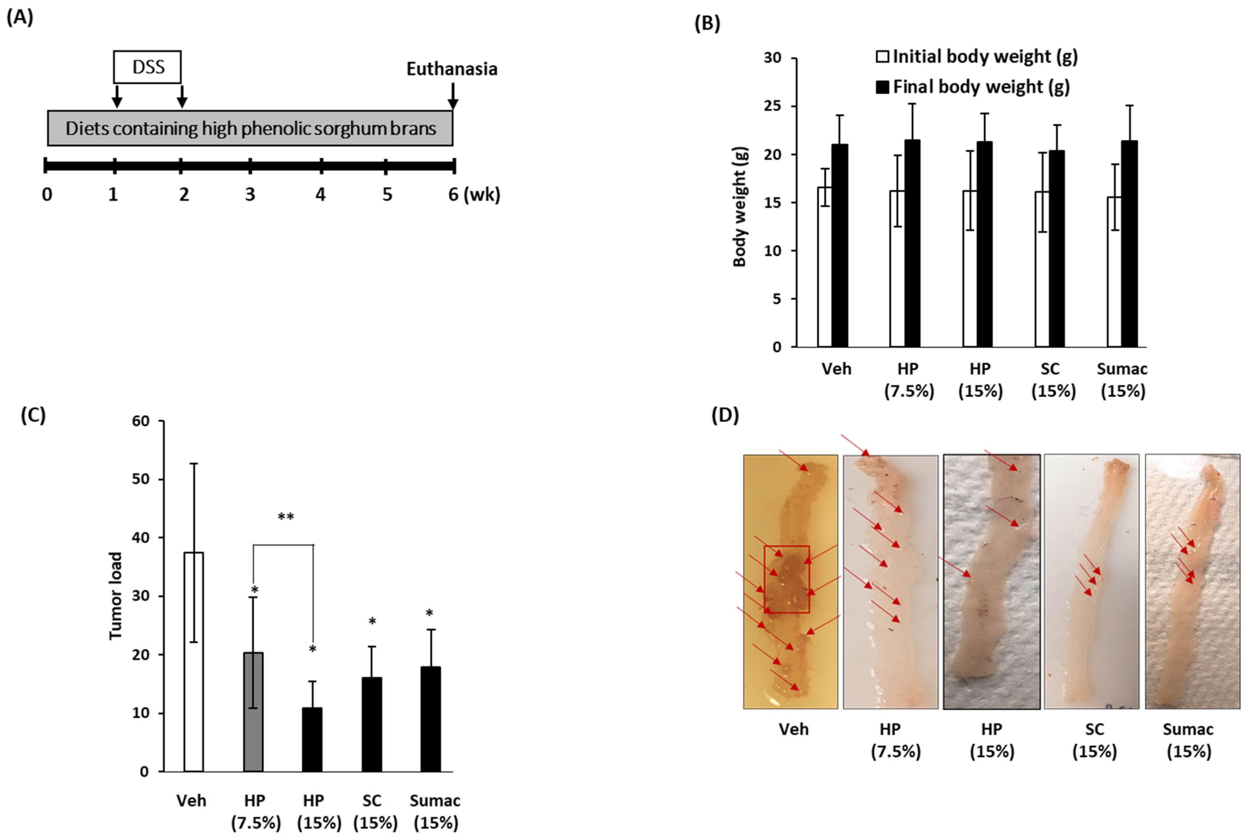 Ijms 22 08286 g006a 550