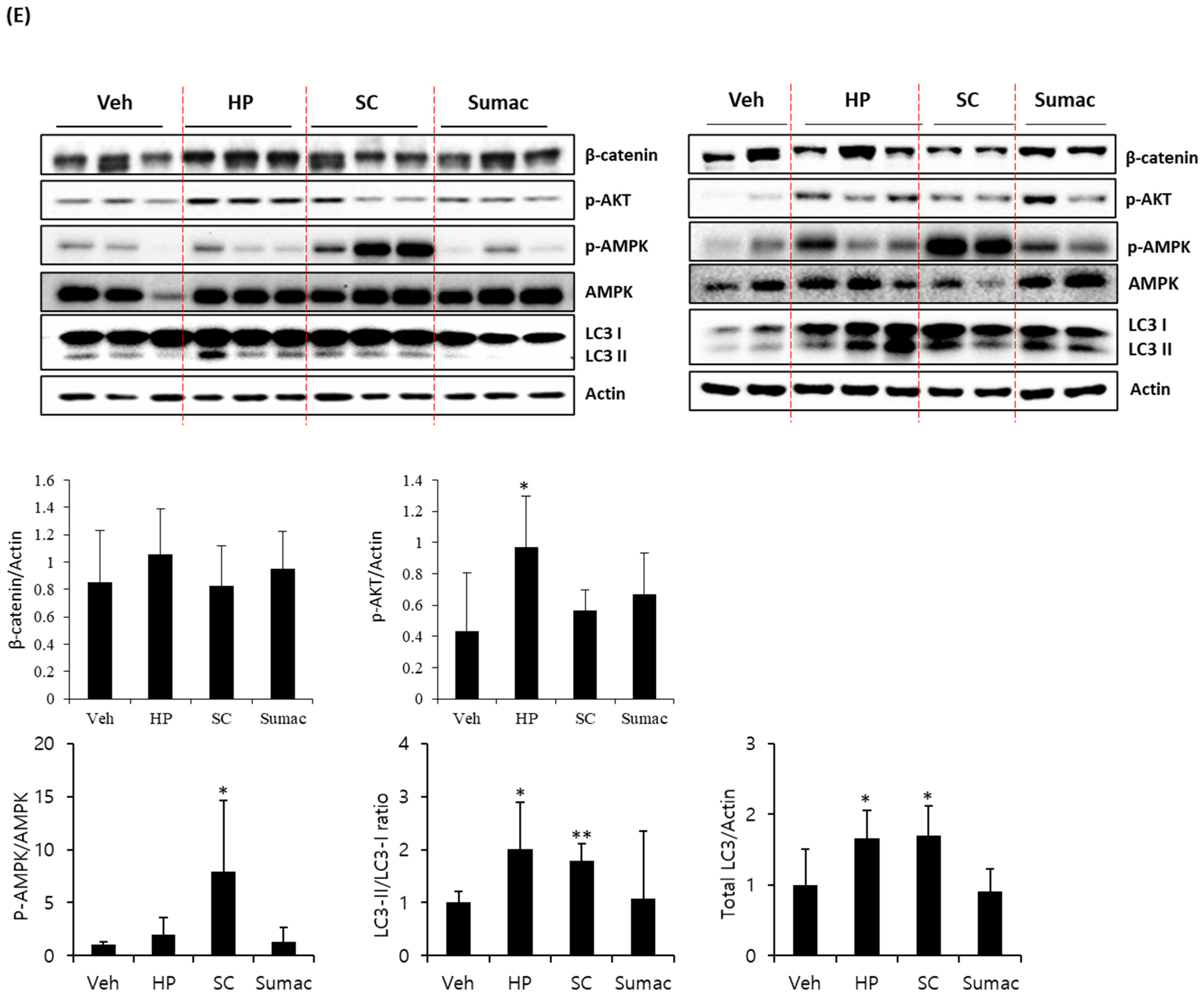 Ijms 22 08286 g006b 550