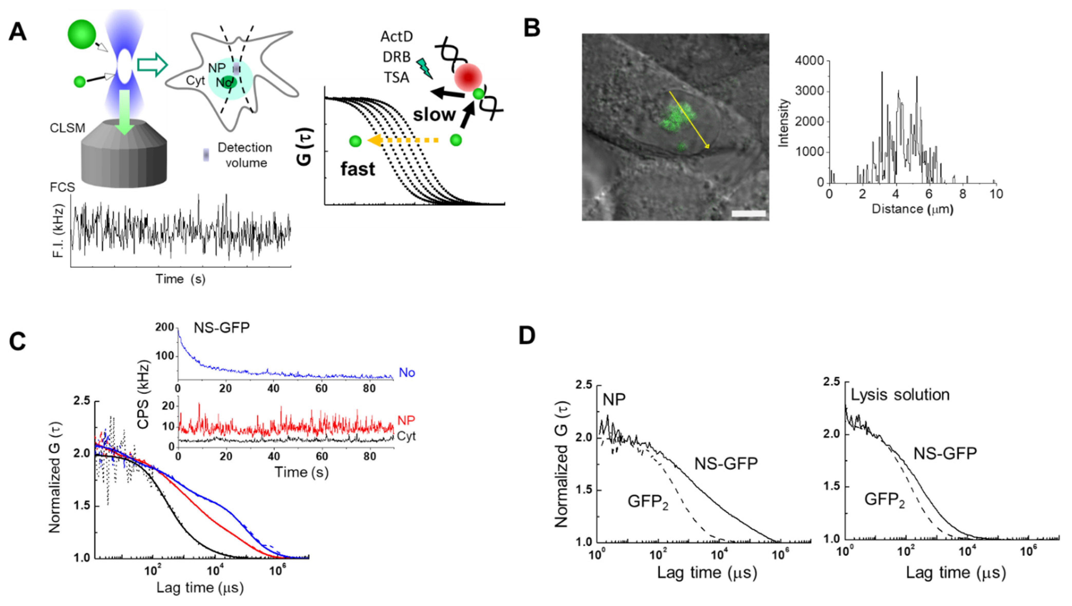 Ijms 22 08293 g001 Ijms 22 08293 g001