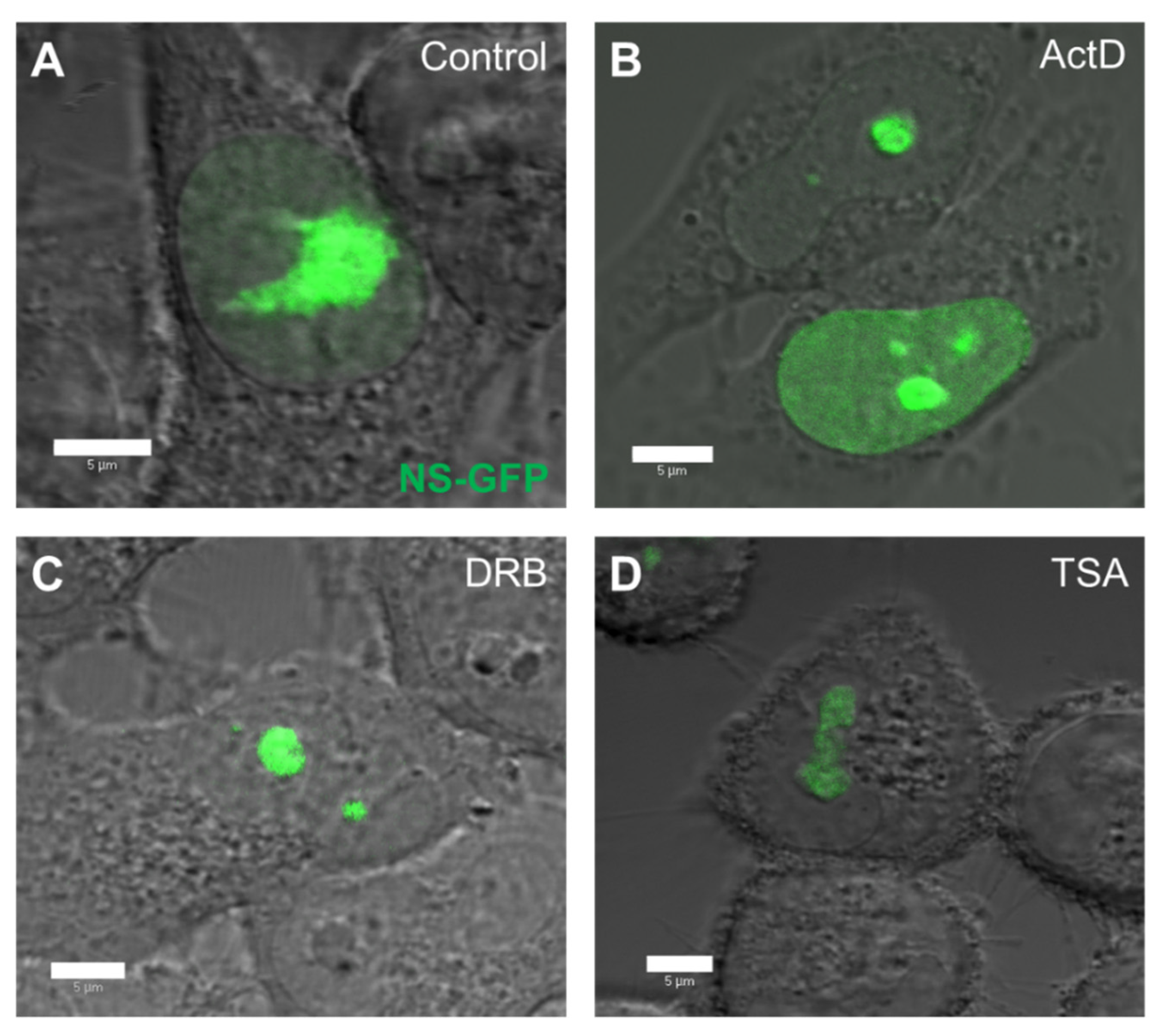 Ijms 22 08293 g002 Ijms 22 08293 g002