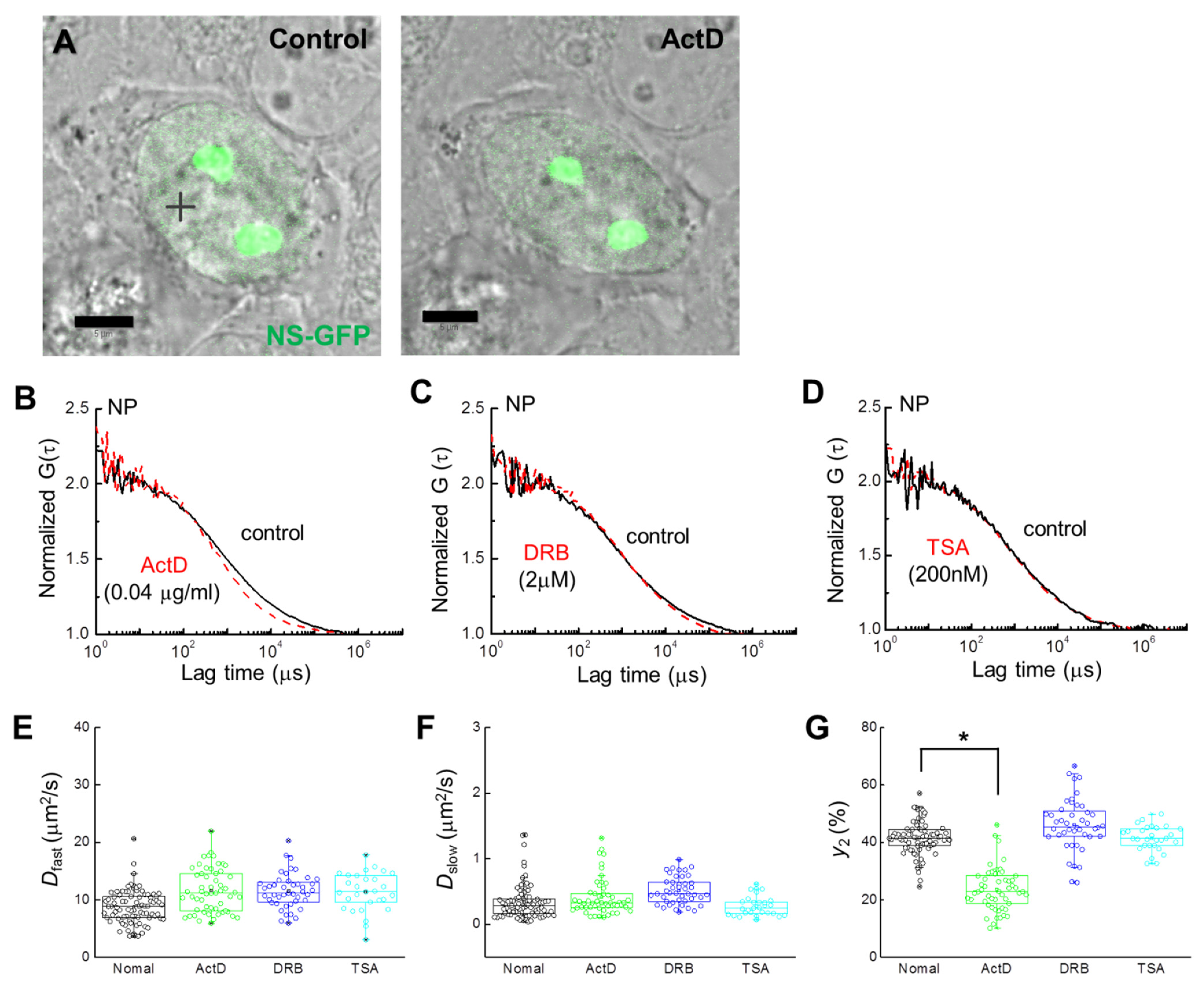 Ijms 22 08293 g003 Ijms 22 08293 g003