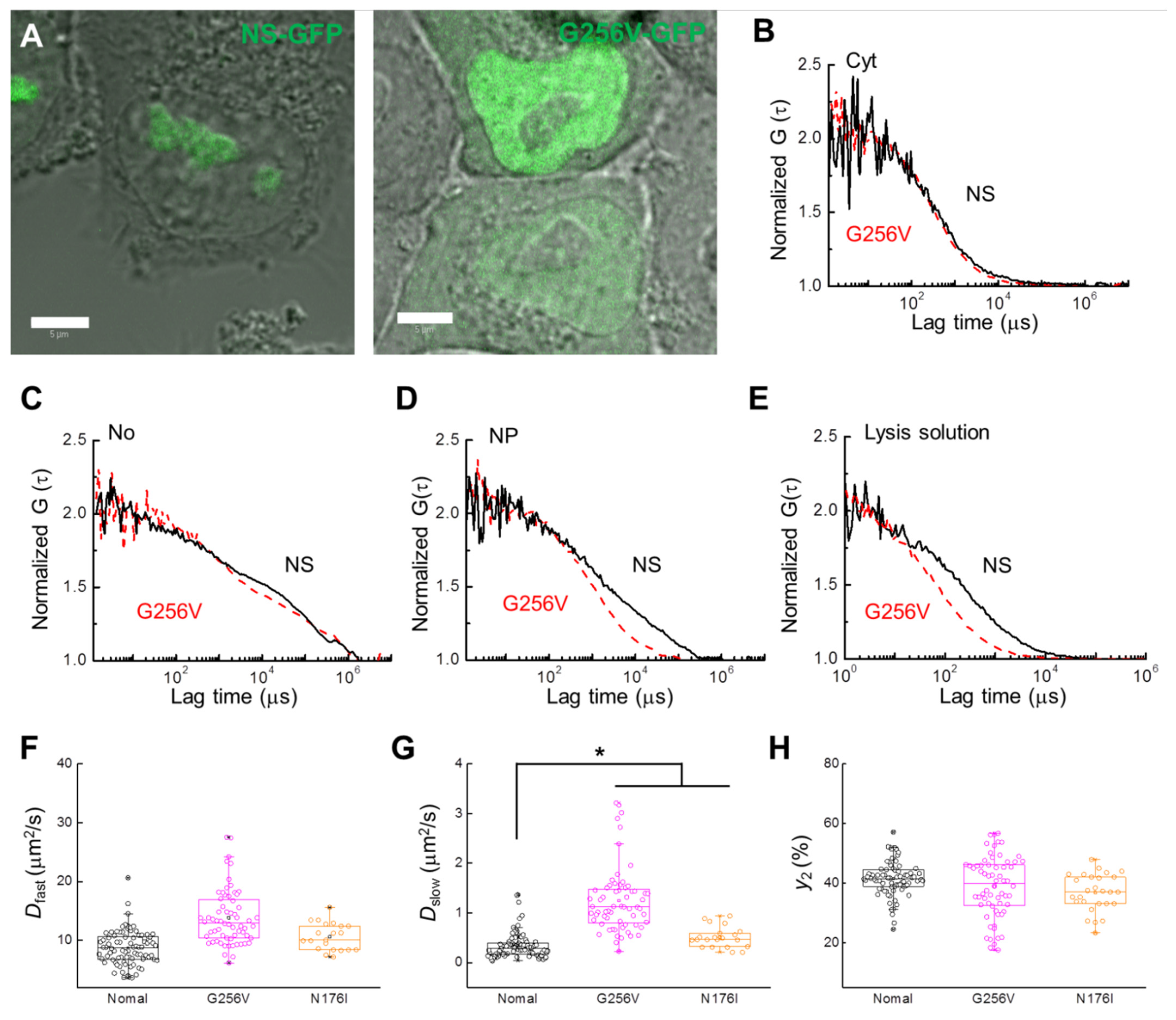 Ijms 22 08293 g005 Ijms 22 08293 g005