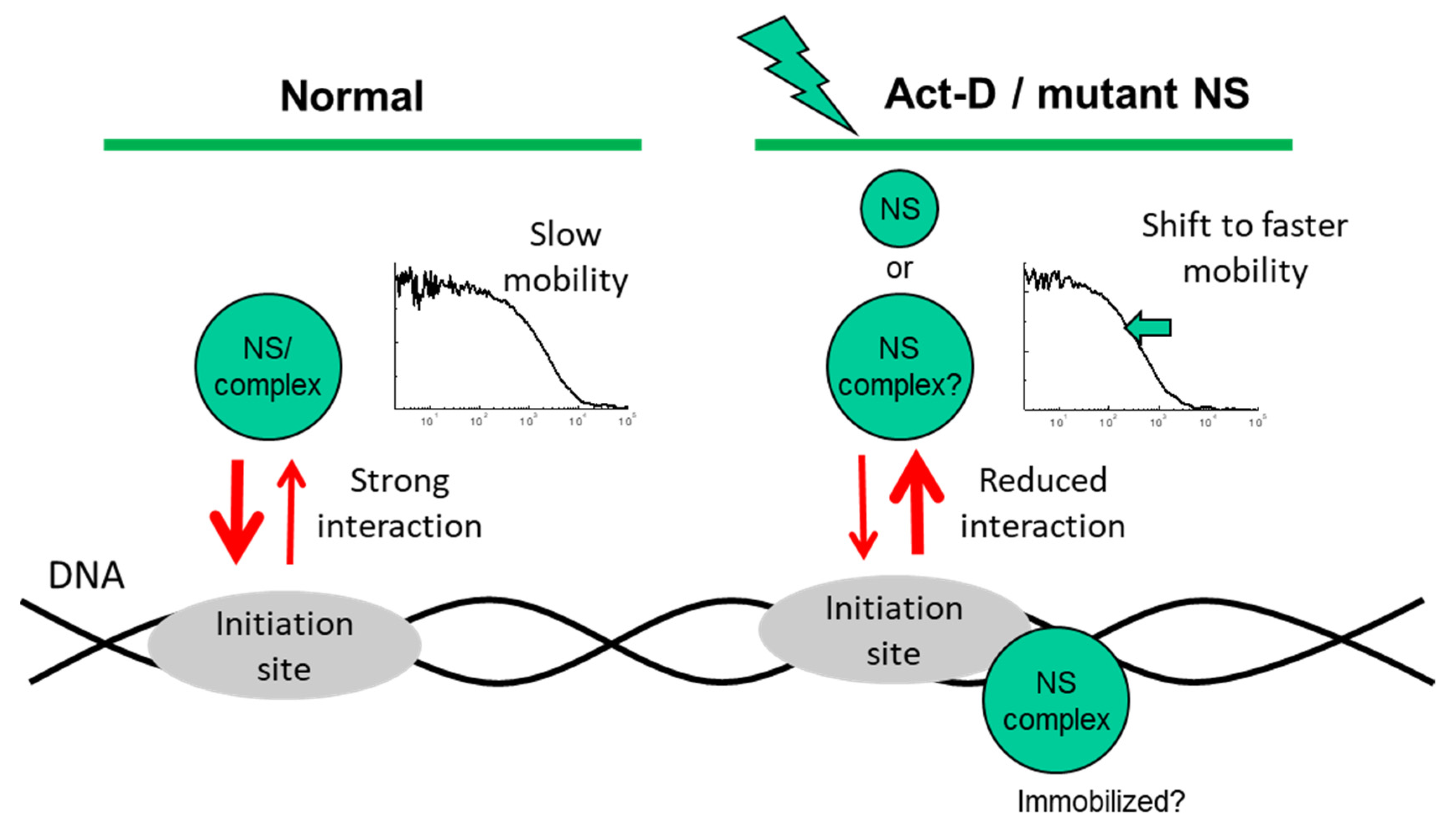 Ijms 22 08293 g006 Ijms 22 08293 g006