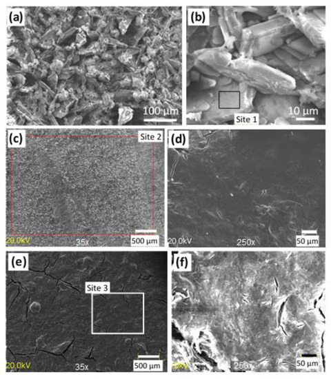Corrosion Resistance of MgZn Alloy Covered by Chitosan-Based Corrosion Resistance of MgZn Alloy Covered by Chitosan-Based