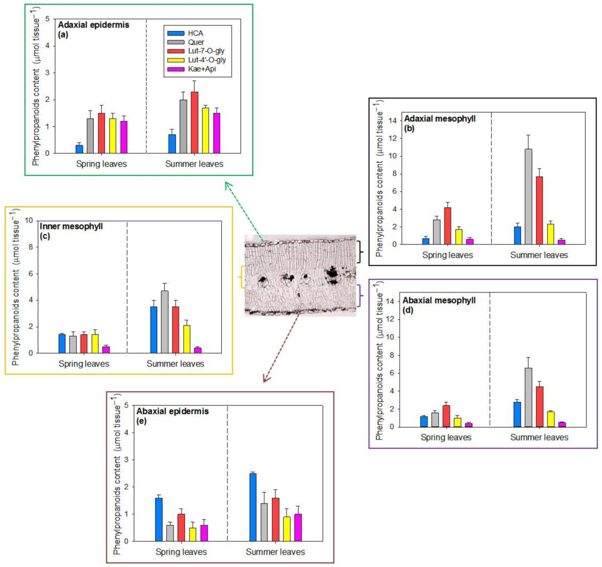 Ijms 22 08303 g006 550