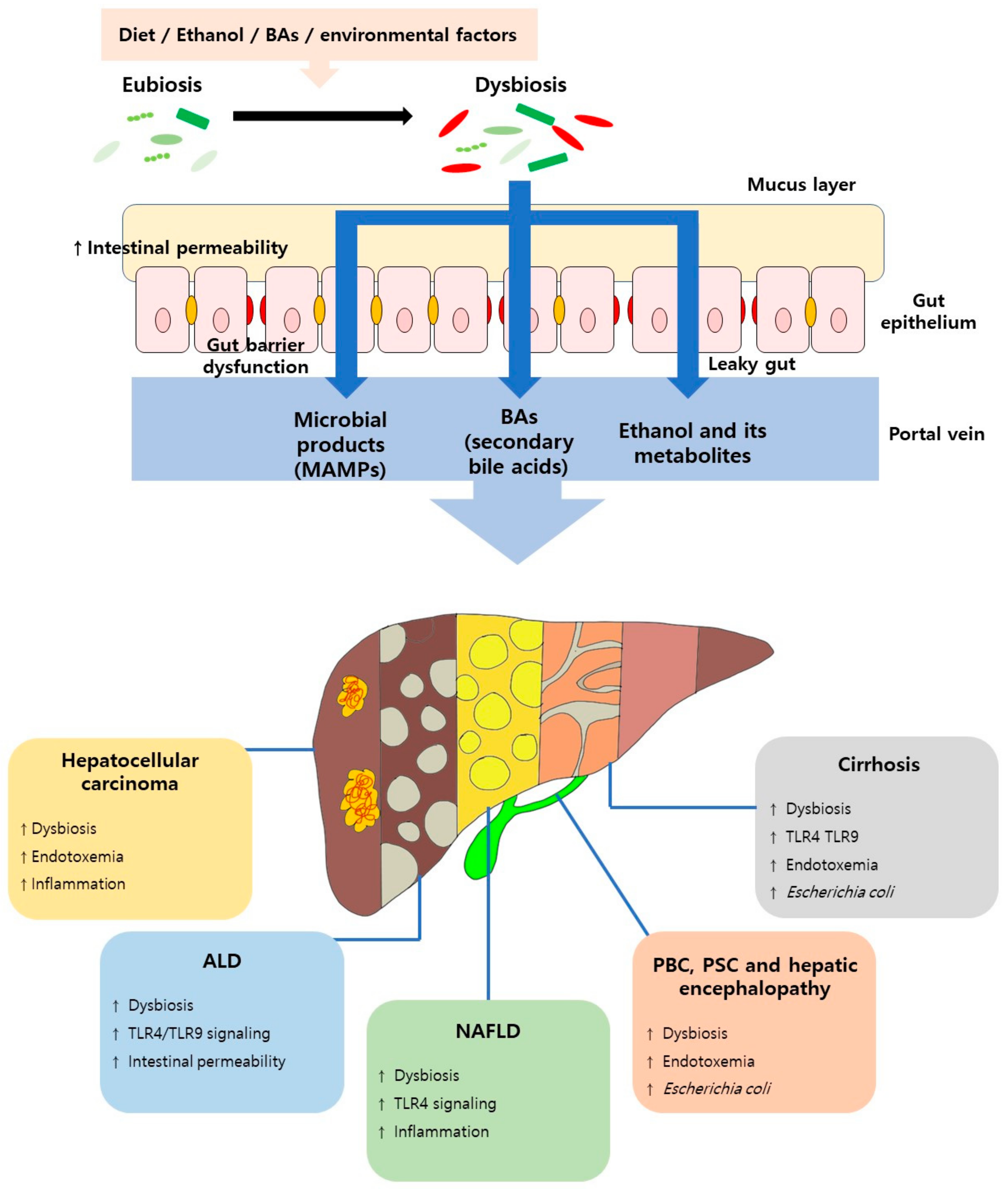 Ijms 22 08309 g001 550